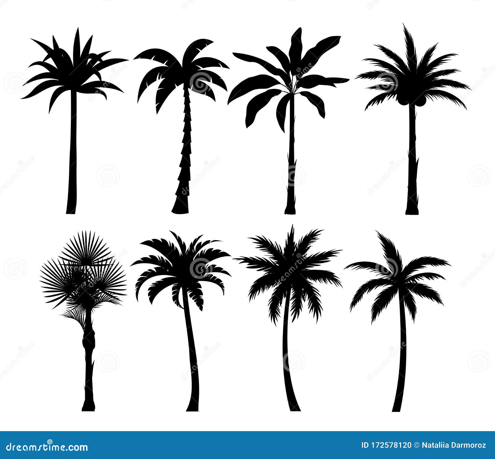 Palm Trees Silhouettes Vector Illustrations Set. Exotic Plants Black ...