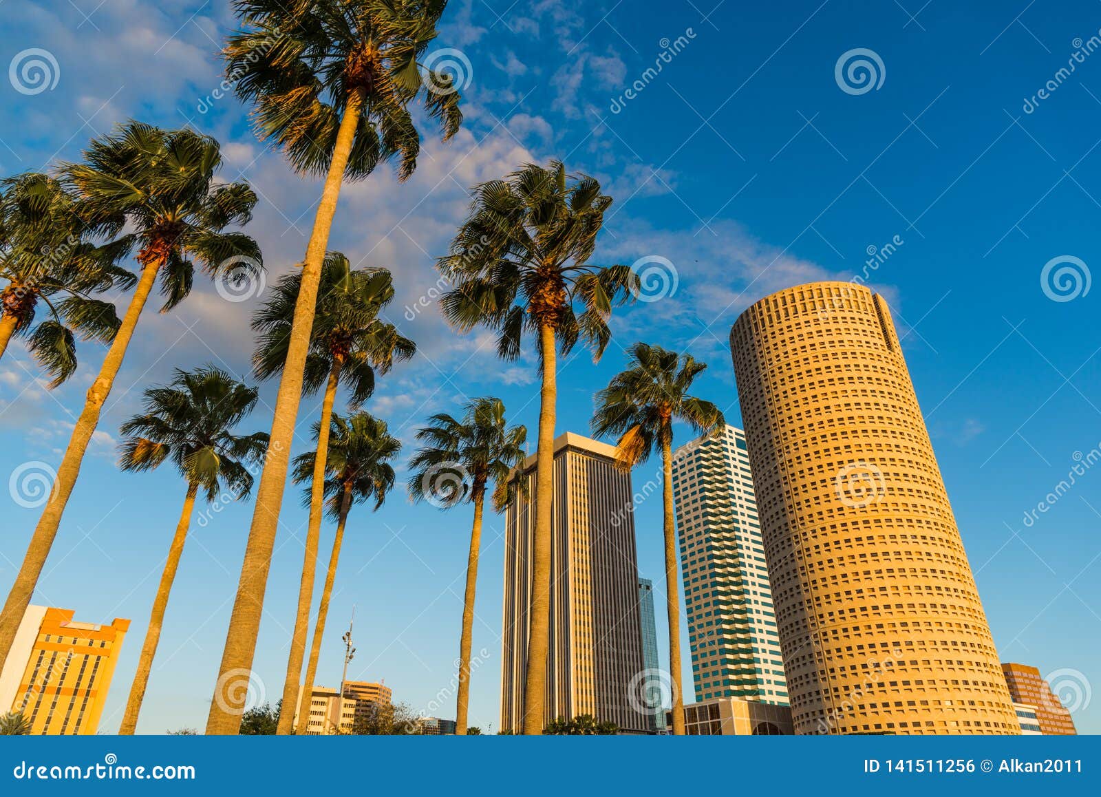 Palm Trees And Skyscrapers In Downtown Tampa At Sunset Stock Photo