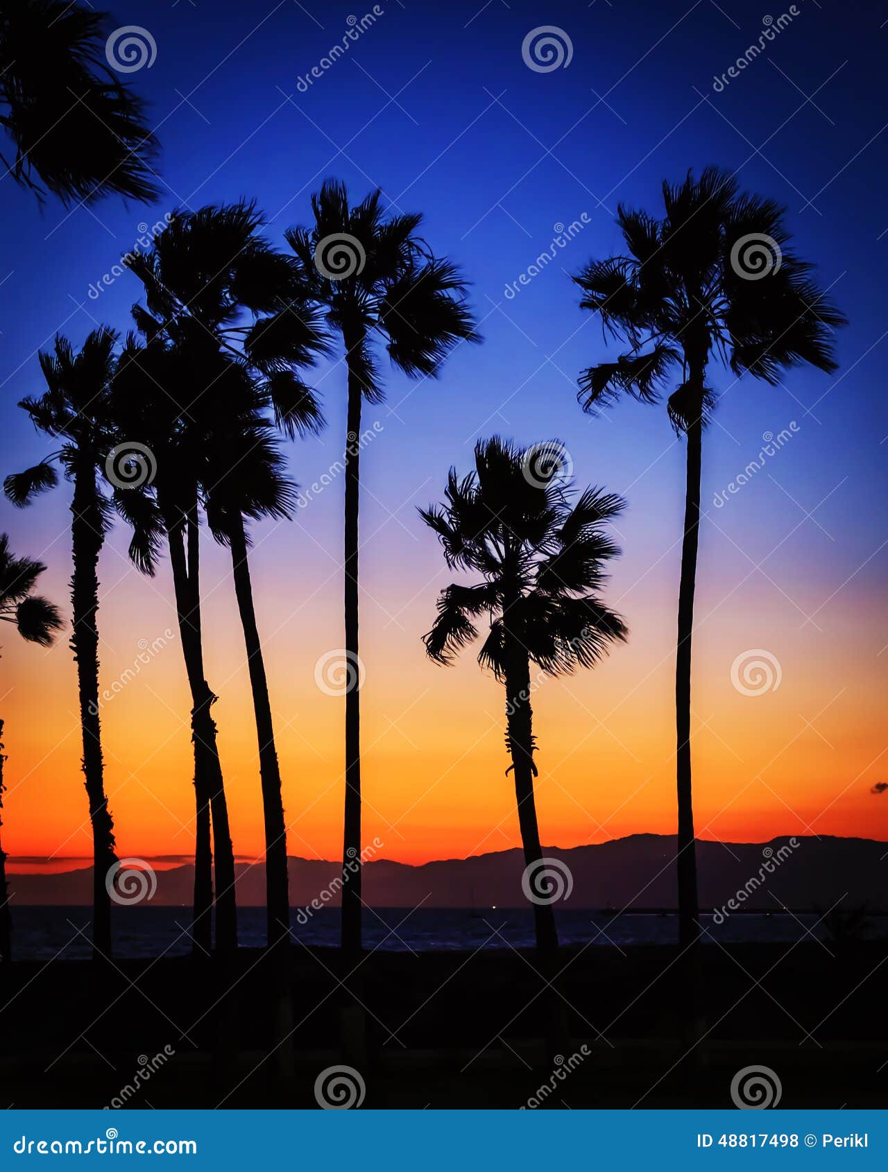 Palm trees at sunset stock photo. Image of angeles, dusk - 48817498