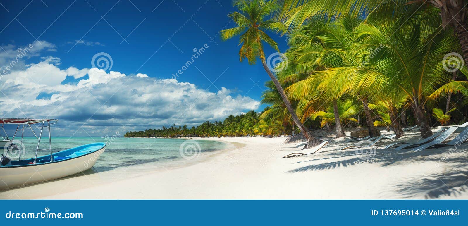 palm trees on the tropical beach, dominican republic. saona island.