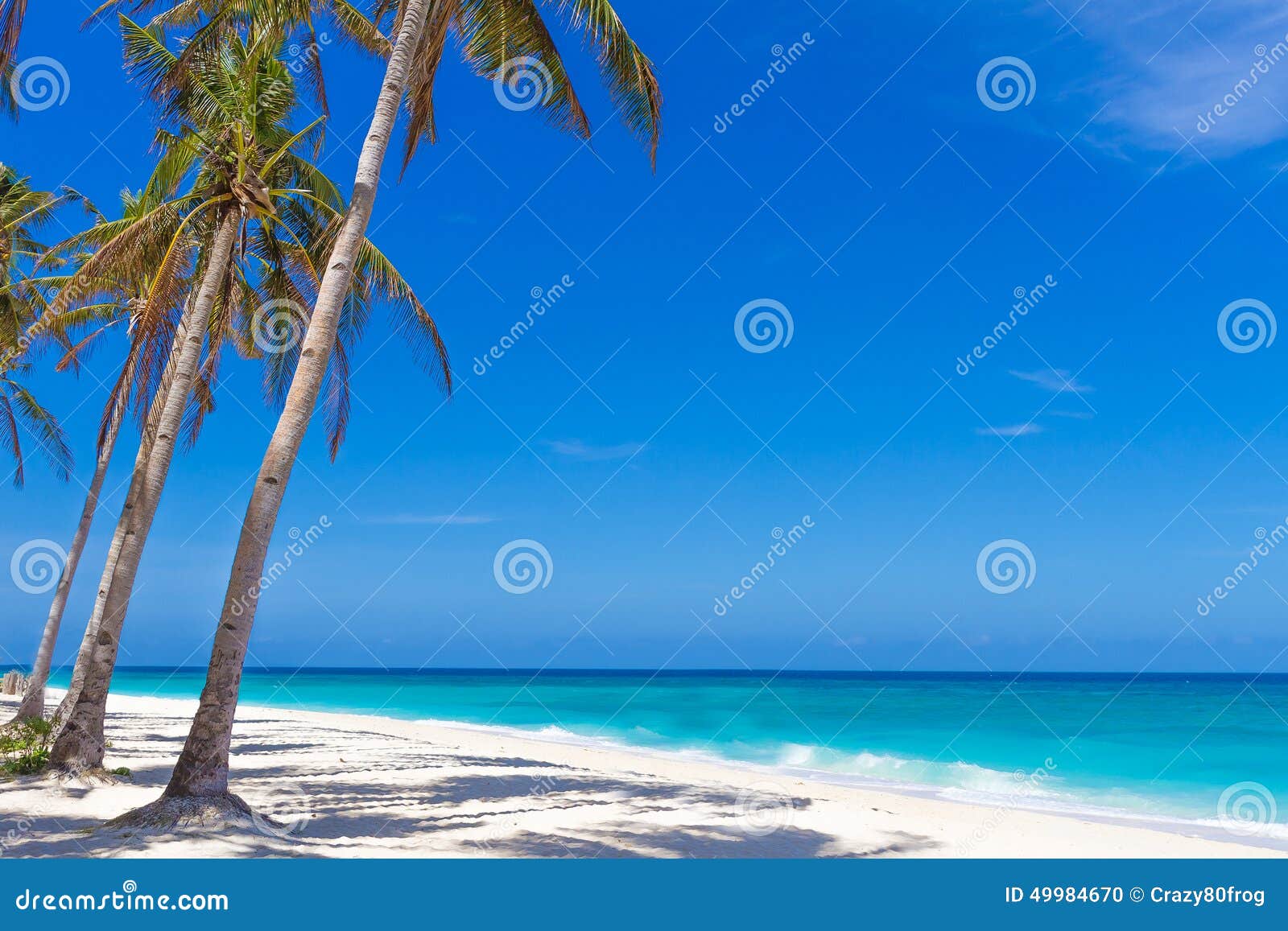 Palm Trees on Tropical Beach and Sea Background, Summer Vacation Stock ...