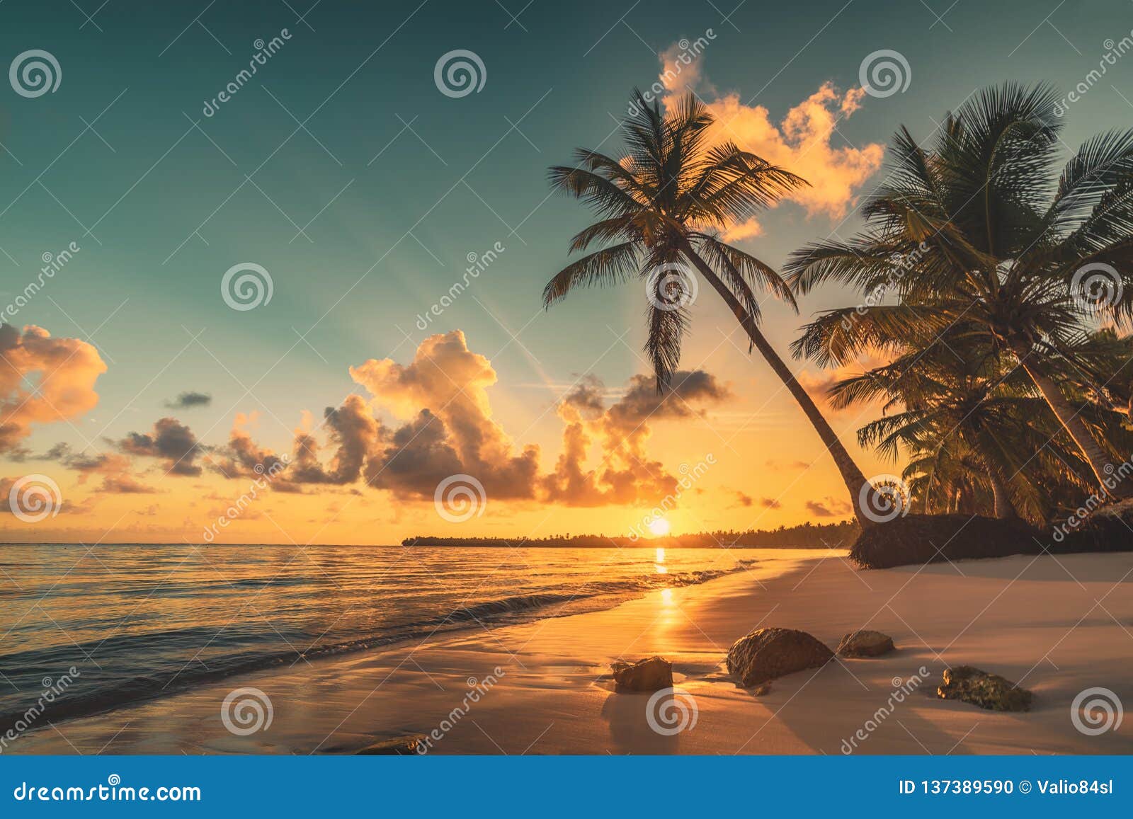 tropical beach in punta cana, dominican republic. sunrise over exotic island in the ocean.