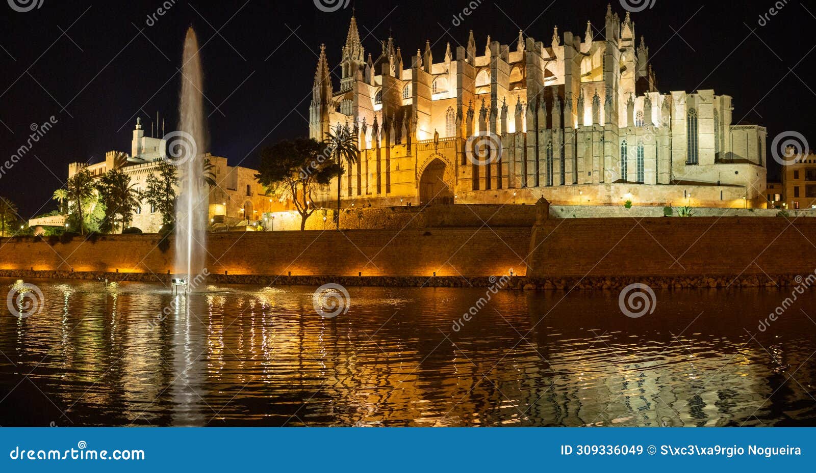 palma cathedral