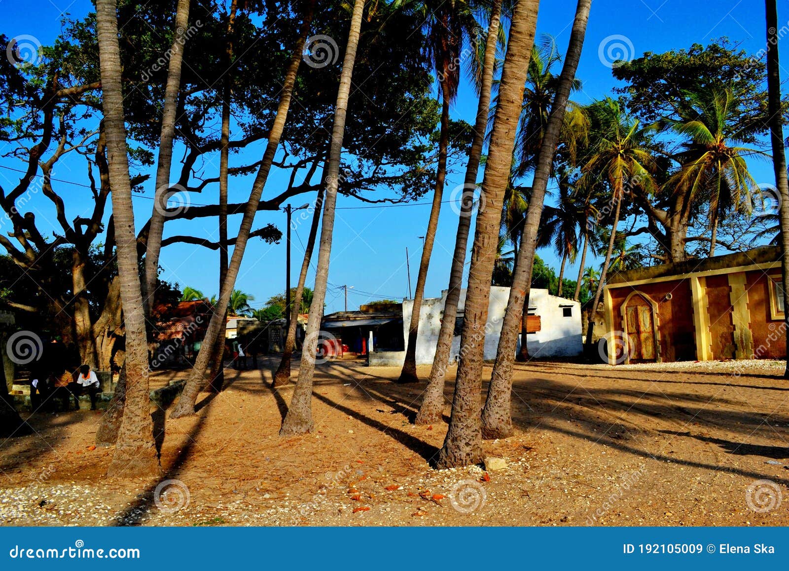 palmarin village, sine-saloum delta, senegal