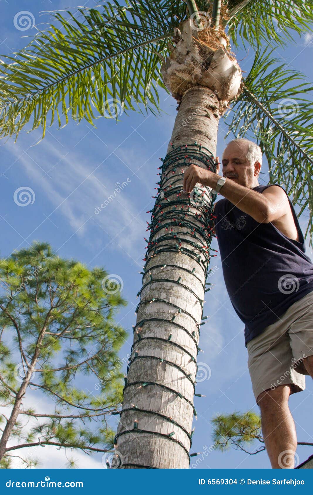 Feliz Natal OPA O PAL O PALME O PALMEI O PALMEIR O PALMEIRA O PALMEIRAS  Timão