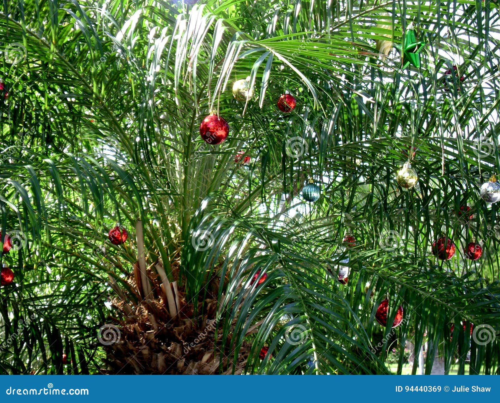 Feliz Natal OPA O PAL O PALME O PALMEI O PALMEIR O PALMEIRA O PALMEIRAS  Timão