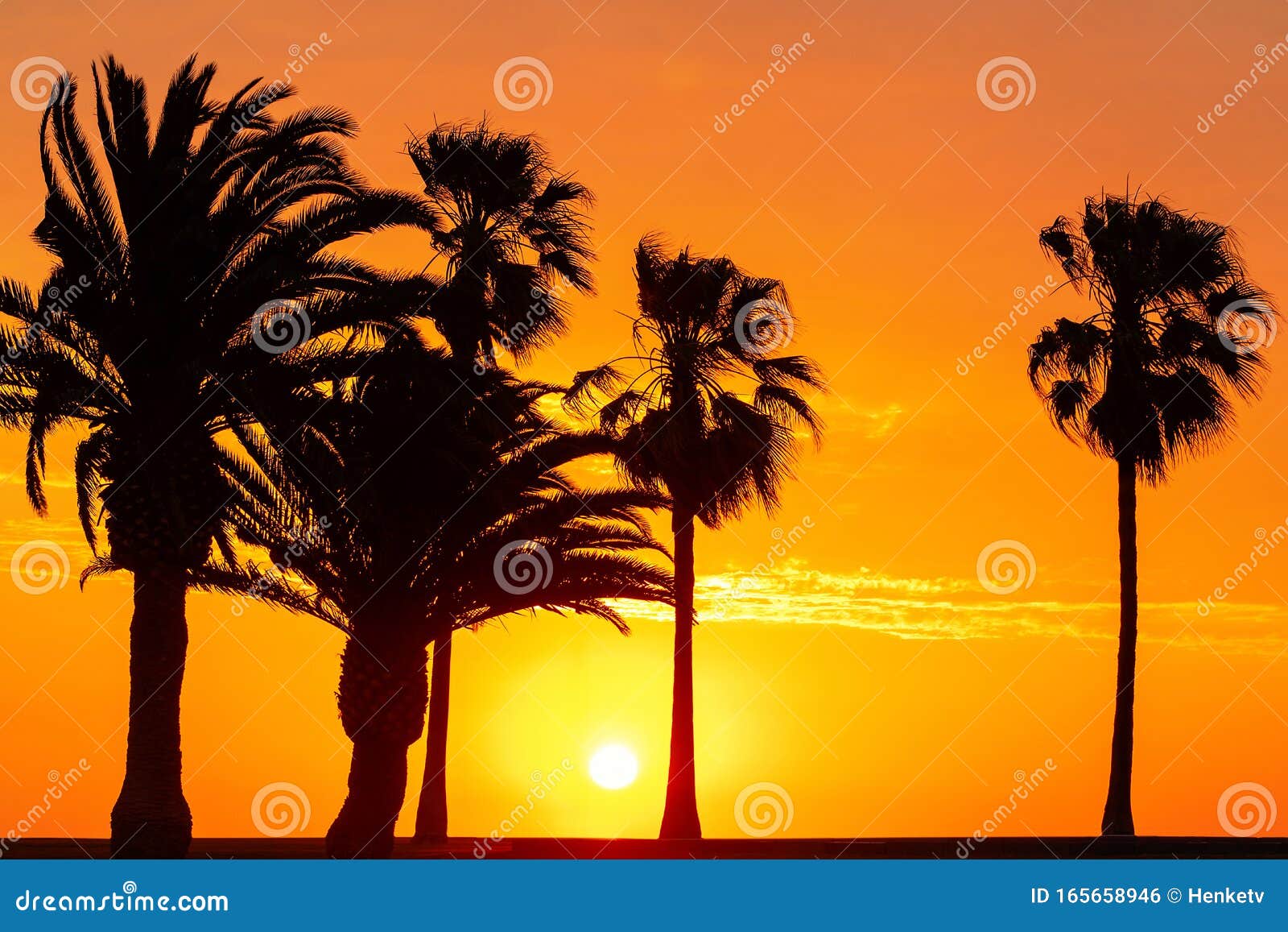 Palmen Silhouette Bei Schonem Hellen Sonnenuntergang Stockfoto Bild Von Sonnenuntergang Schonem