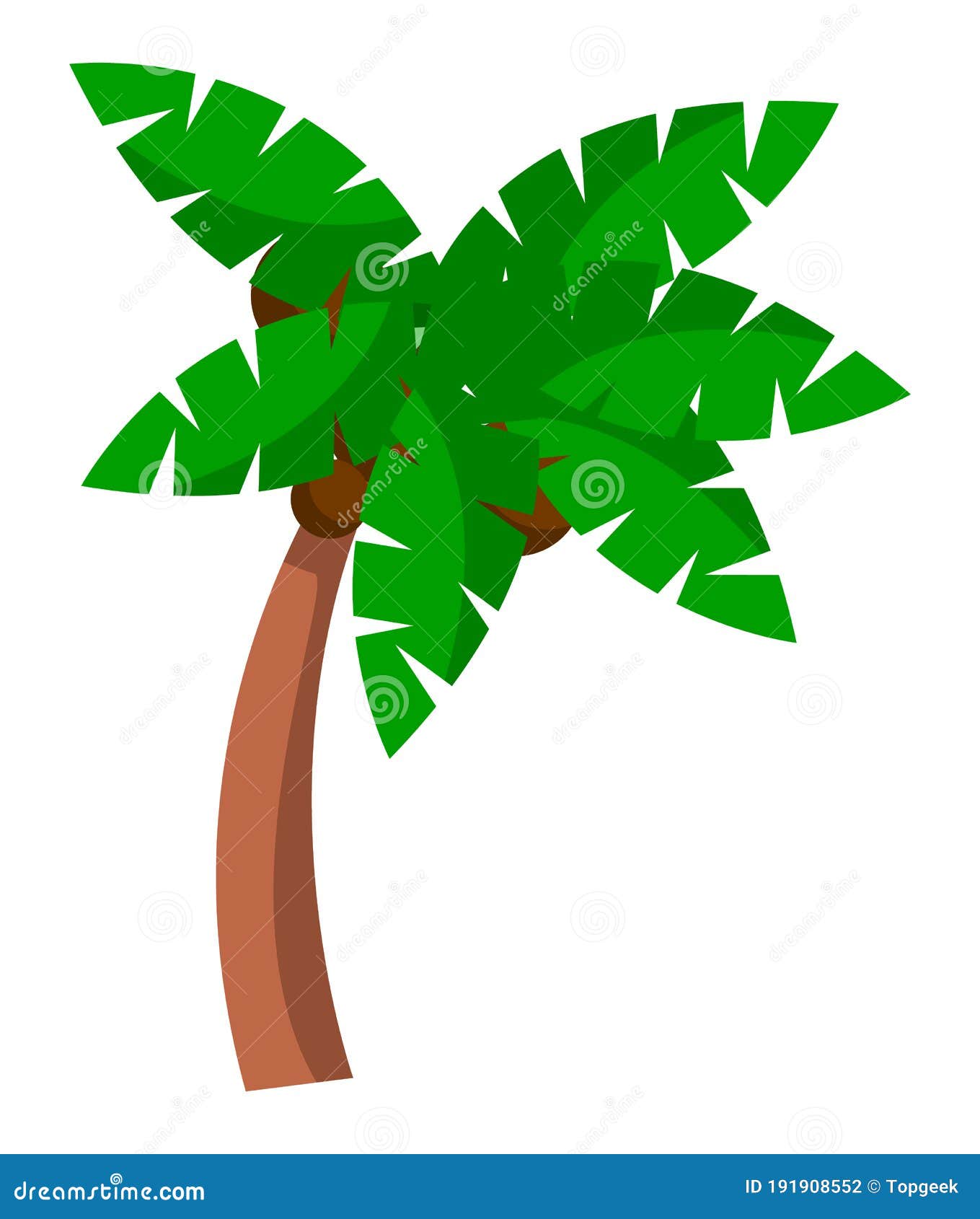 Palmera De Coco En Un Fondo Blanco. Palmera Doblada Con Gran Estilo De Dibujos  Animados De Hojas Verdes Ilustración del Vector - Ilustración de planta,  verde: 191908552