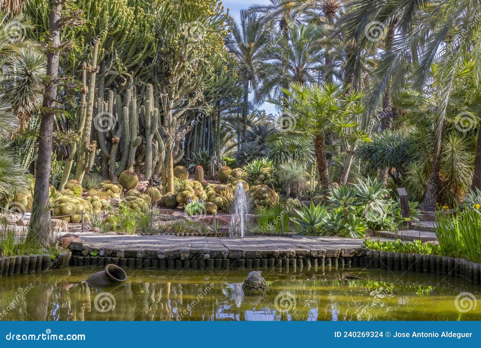 botanical garden of the huerto del cura in elche