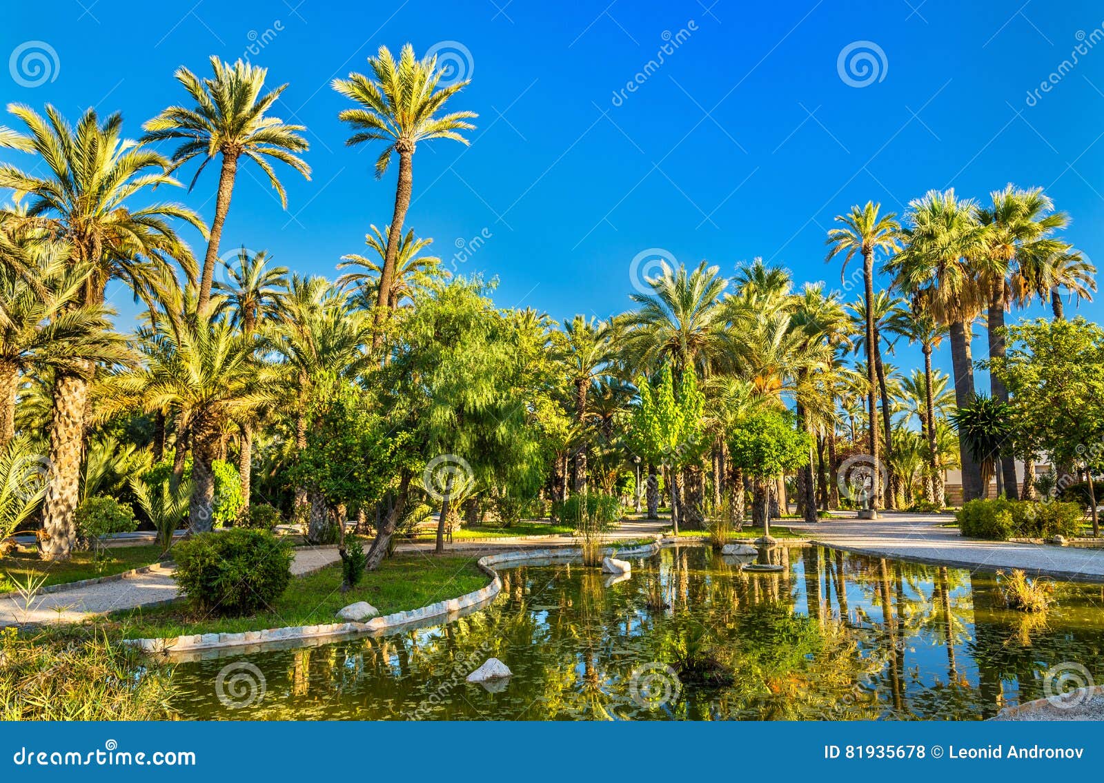 palmeral of elche, spain. unesco heritage site