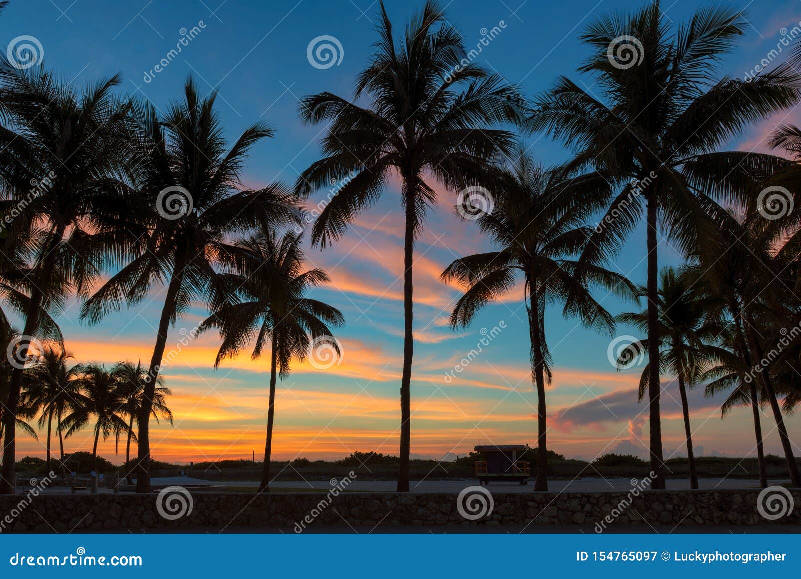 Palmiers Sur Miami Beach Au Lever De Soleil Image Stock