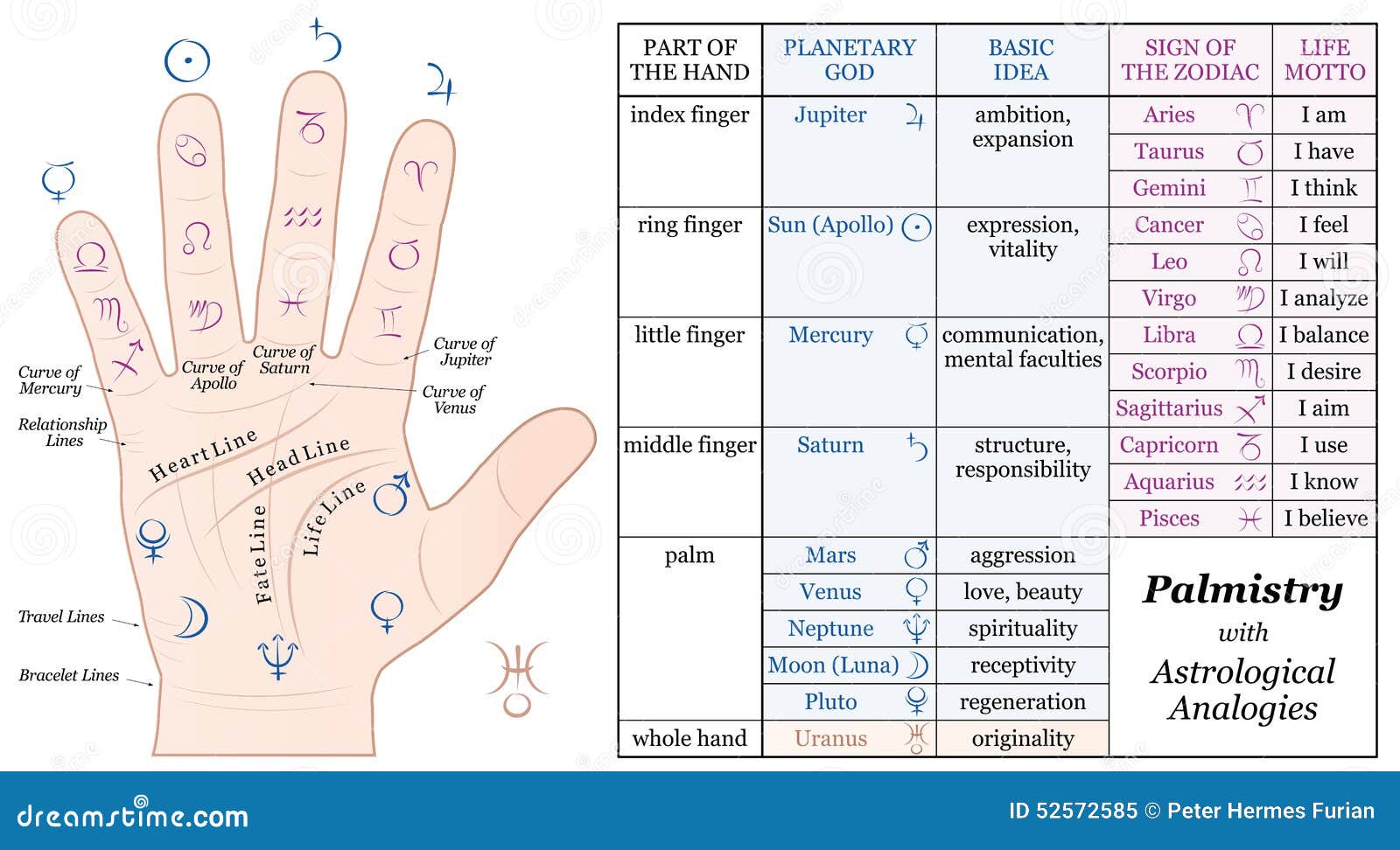 Simple Palmistry Chart