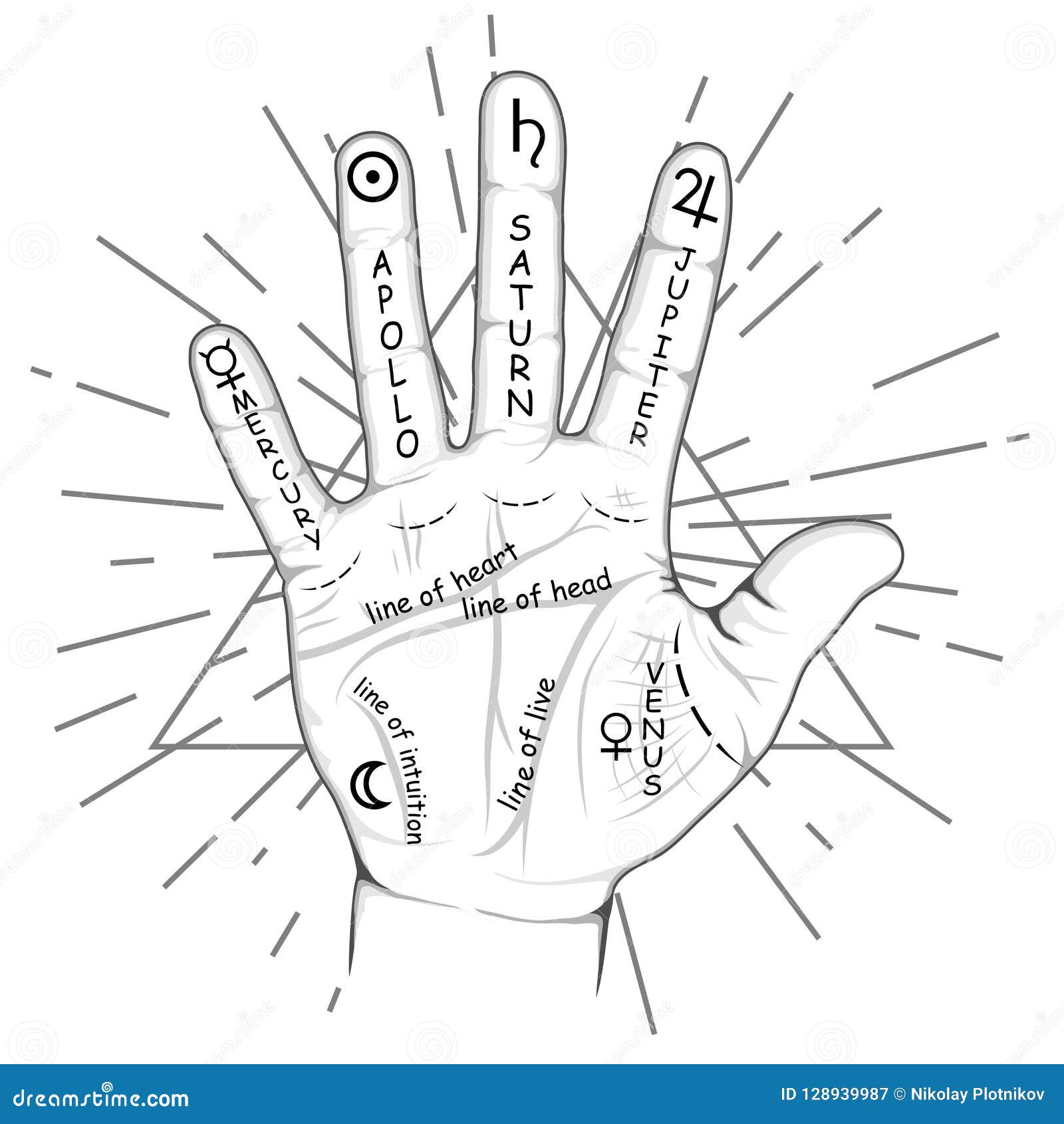 palmistry or chiromancy hand with signs of the planets and zodiac signs. palmistry map on open palm. divination and