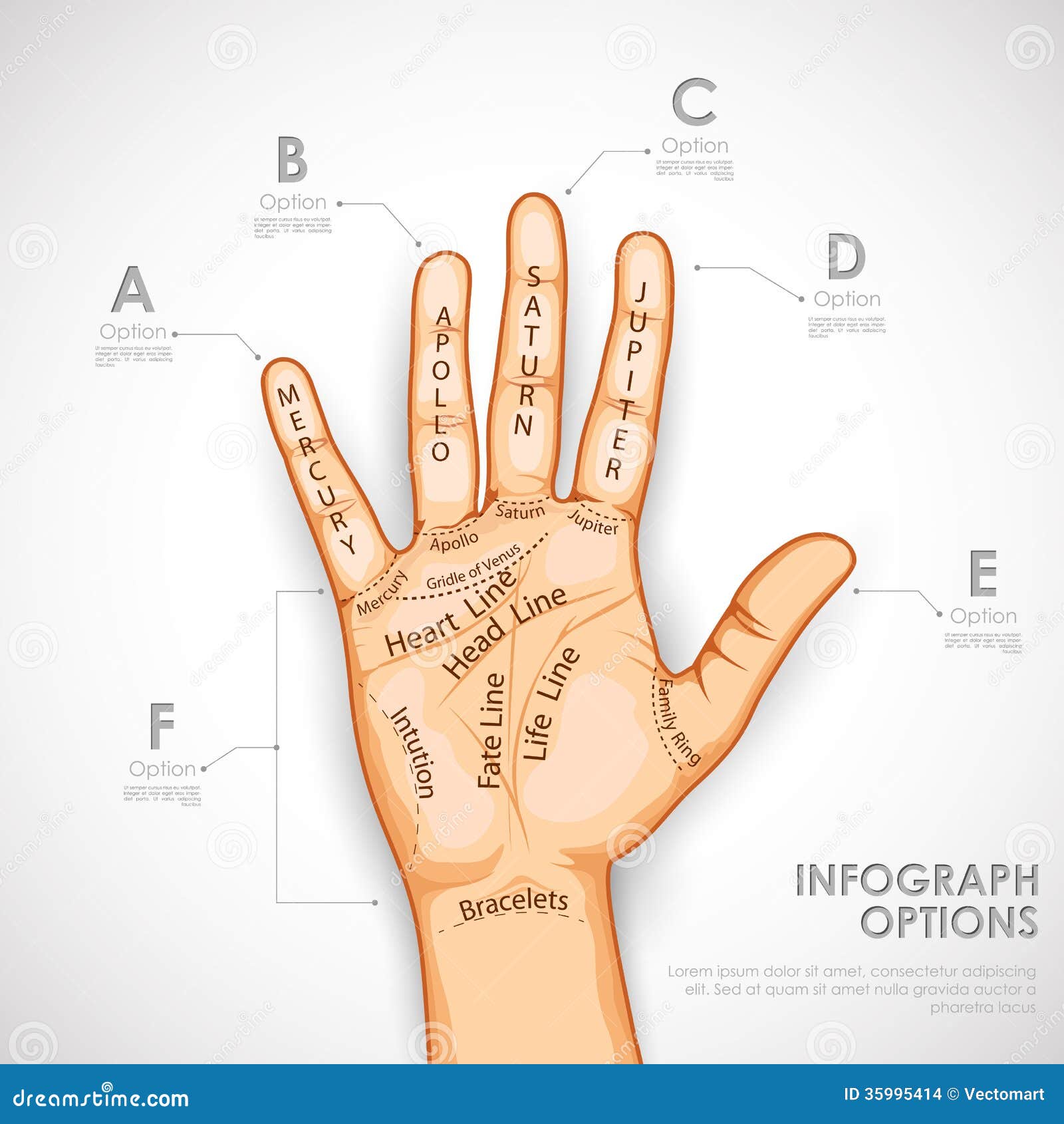 How To Read Palms: A Guide To The Lines On Your Hand