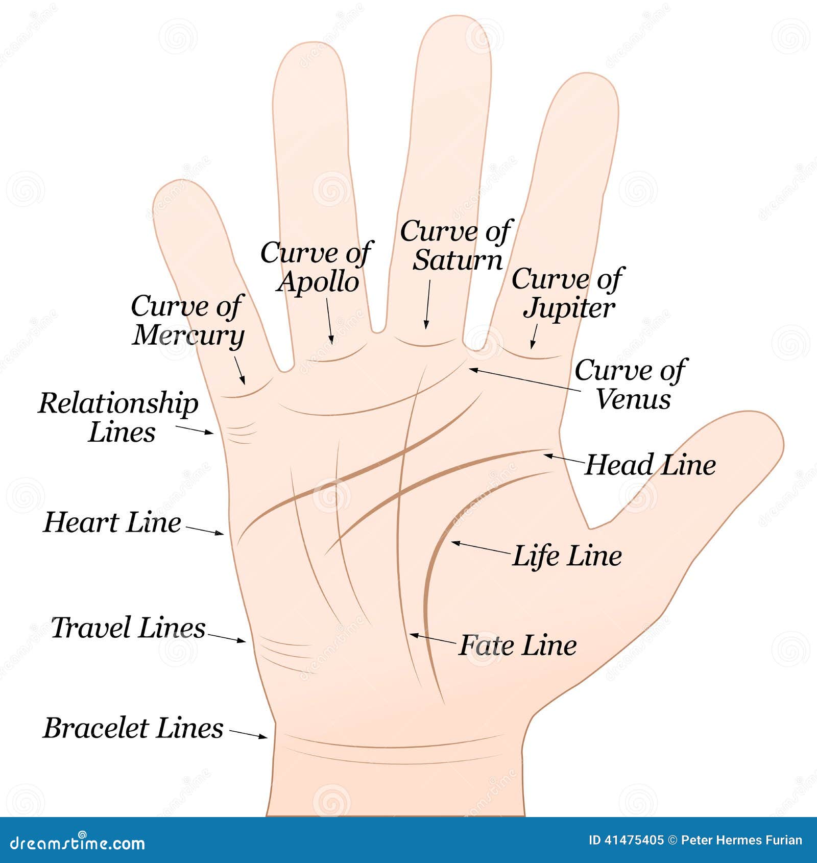 Palmistry handouts | Tchipakkan