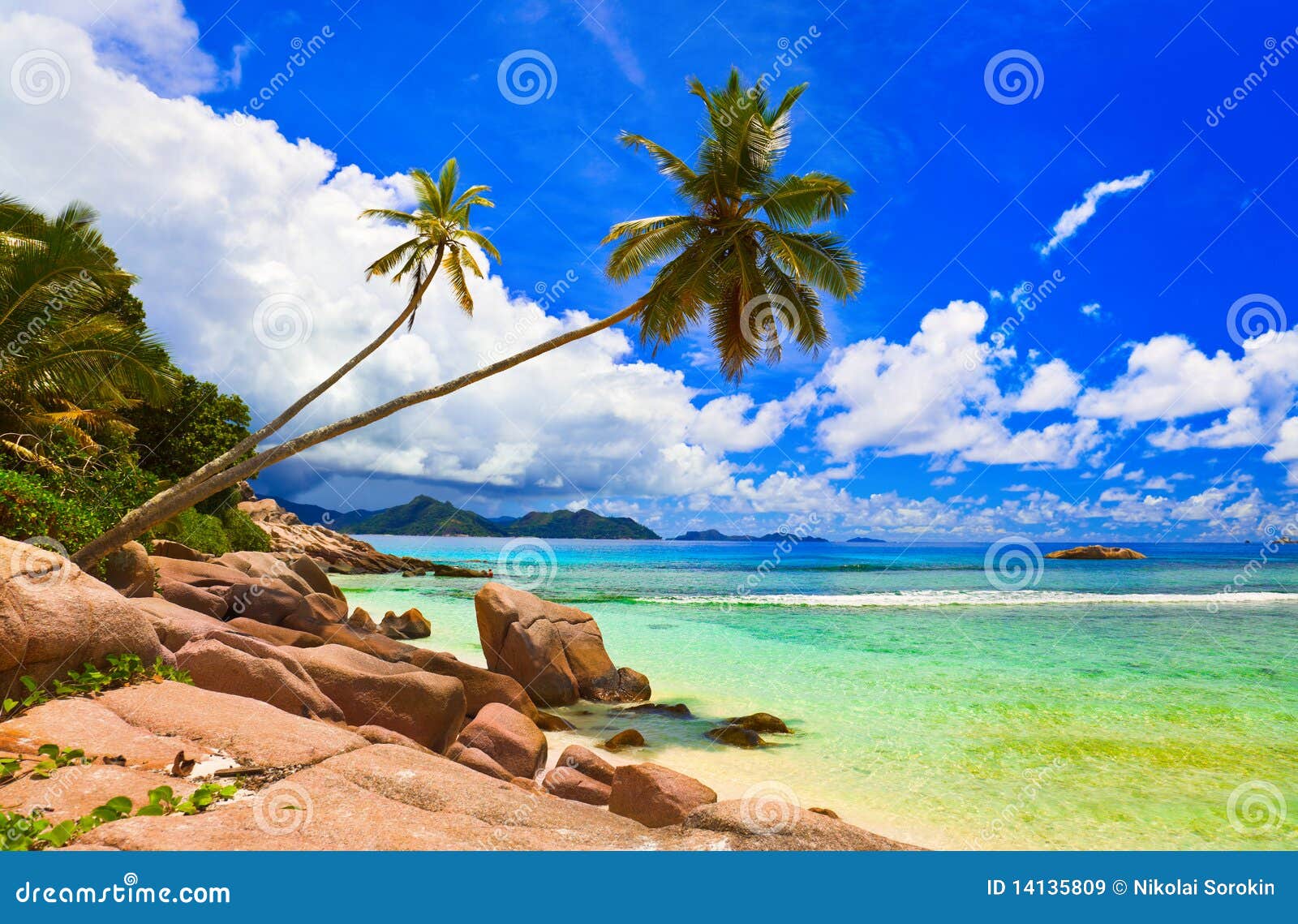 palms on beach at island la digue, seychelles