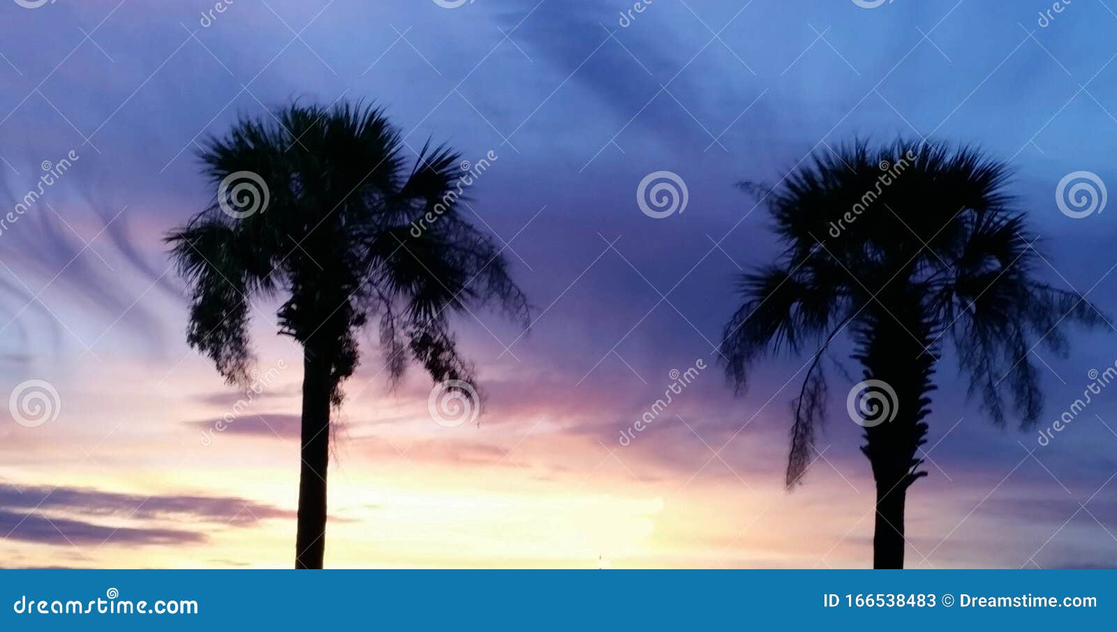 2 palms