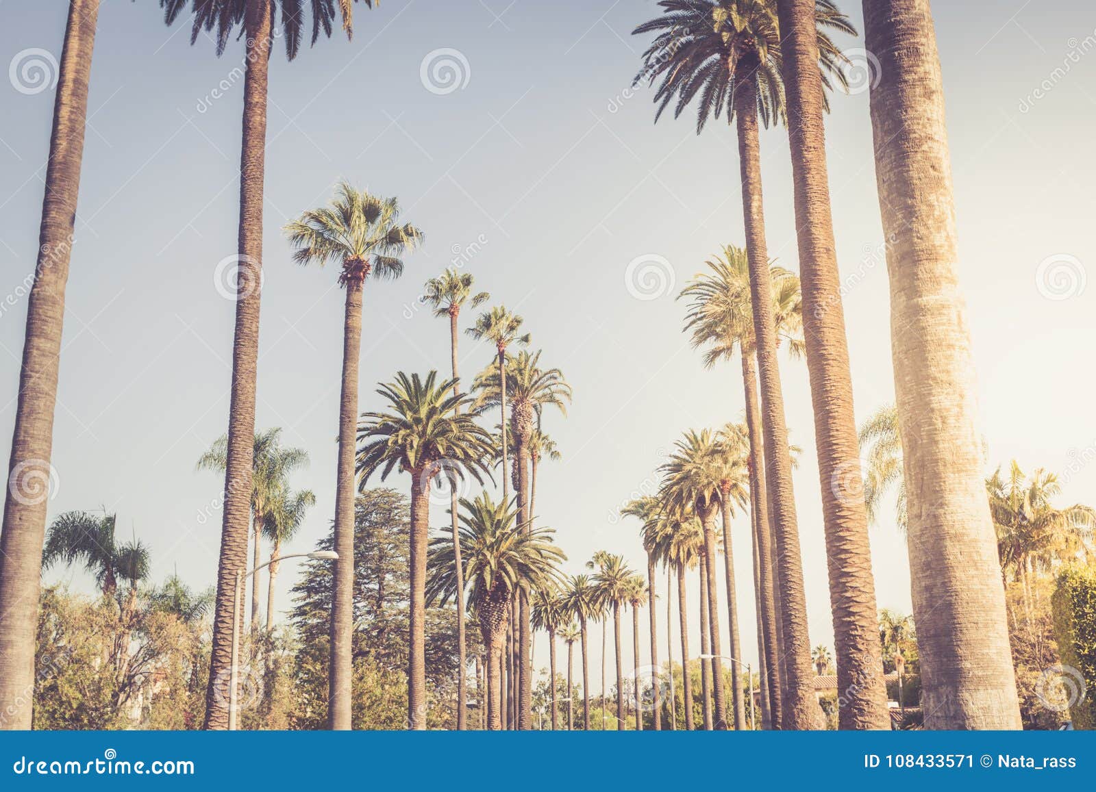 palms of beverly hills