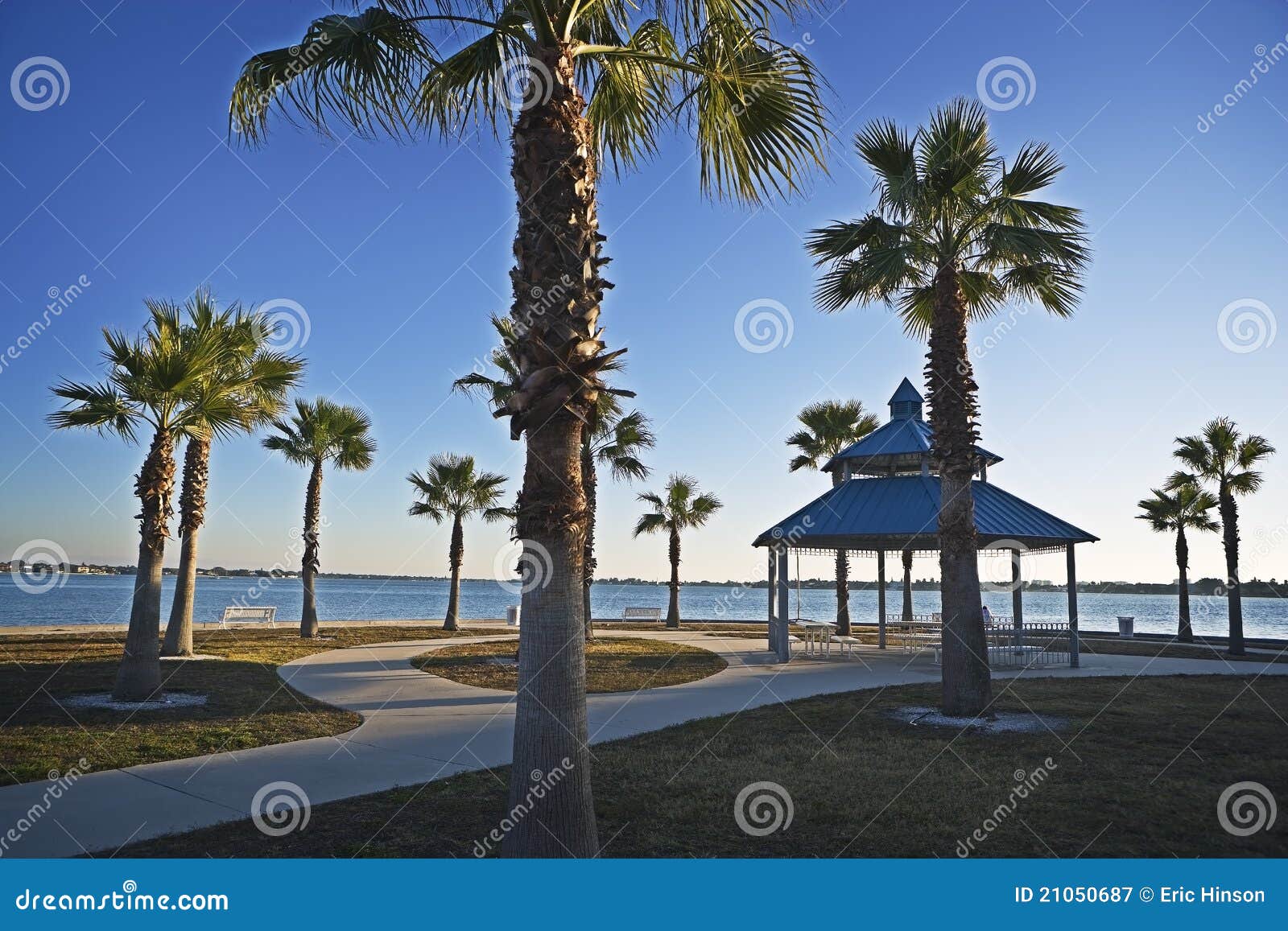 Palms & Pavillion, Gulf Coast Stock Image Image of seascape, island