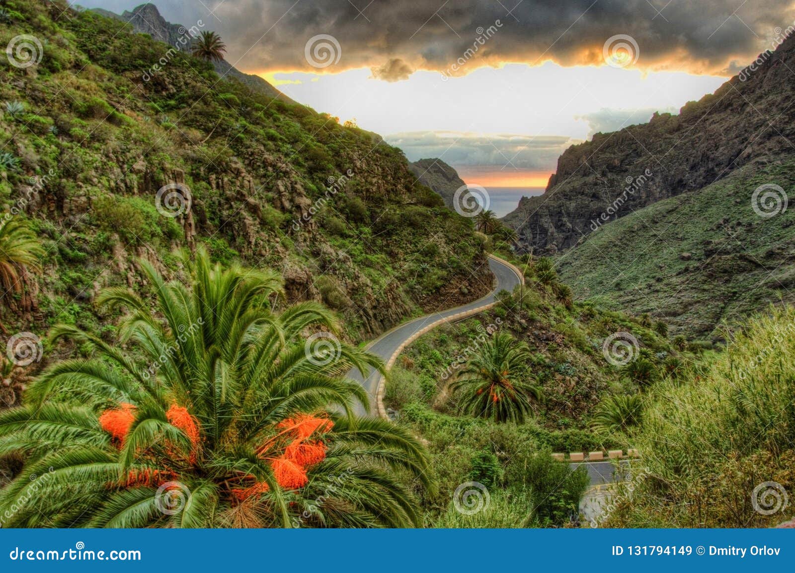 Palms and Serpentine Near Masca Village with Mountains, Tenerife
