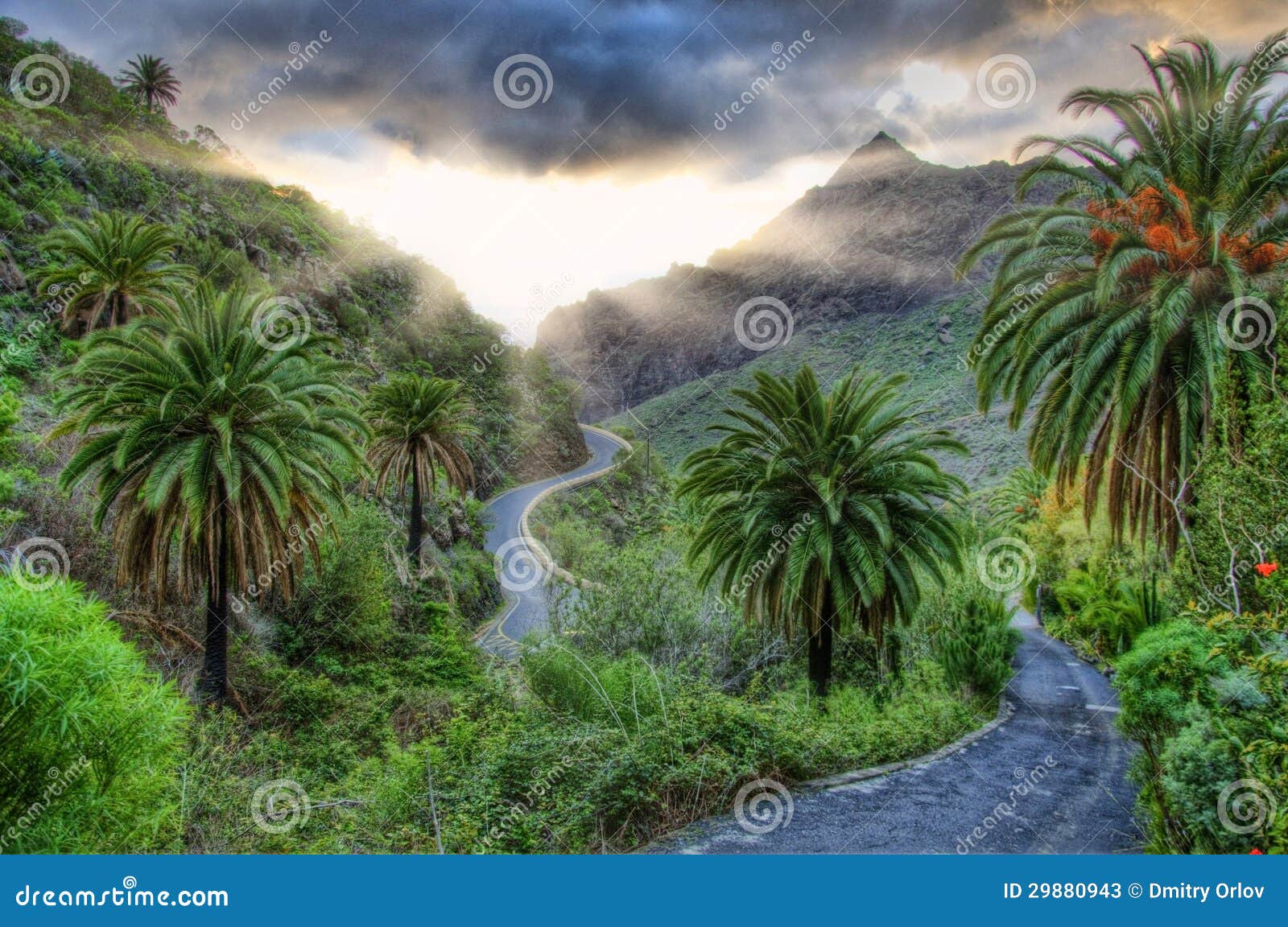 palms and serpentine near masca village with mountains, tenerife, canarian islands