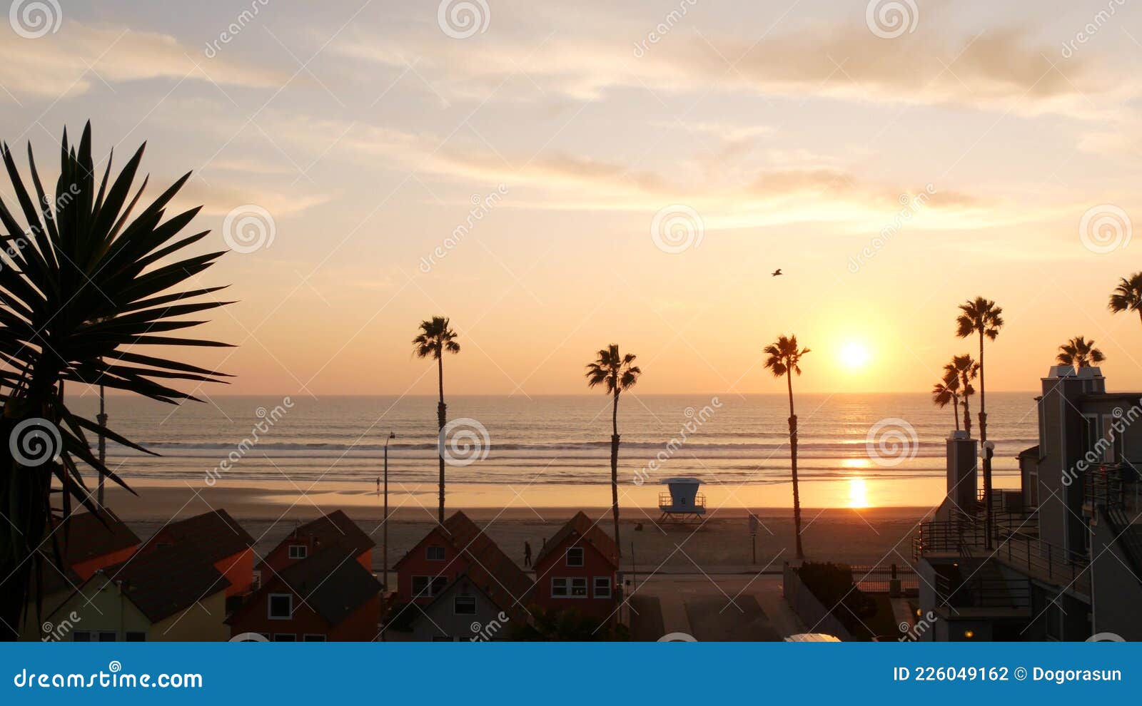 California Vibes, aesthetic, america, beach, la, night, palms