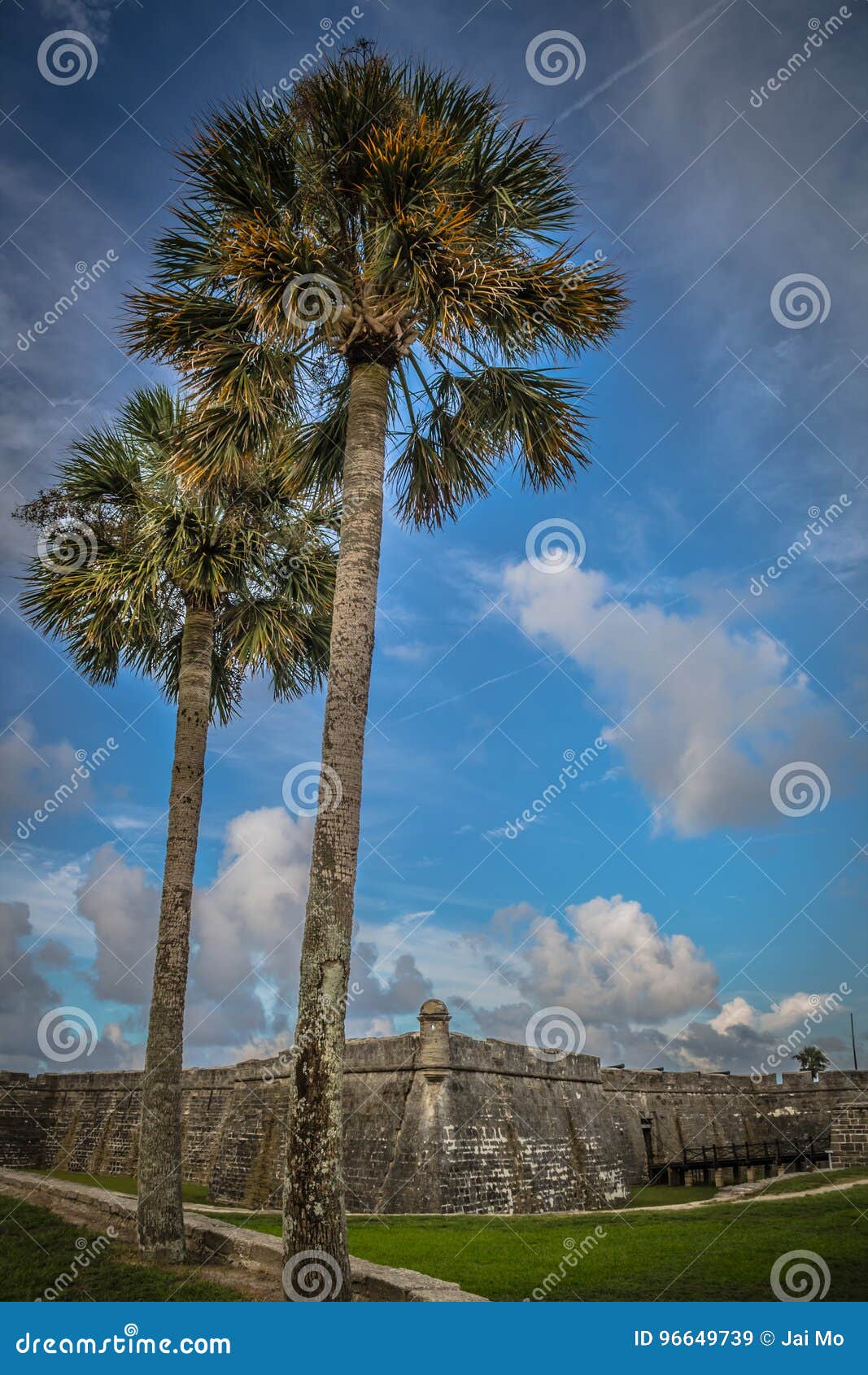 Palms Trees St Augustine Fort Stock Image Image of ocean, ancient 96649739