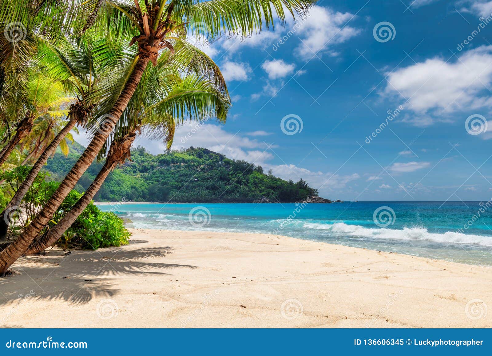 palms and tropical beach with white sand.