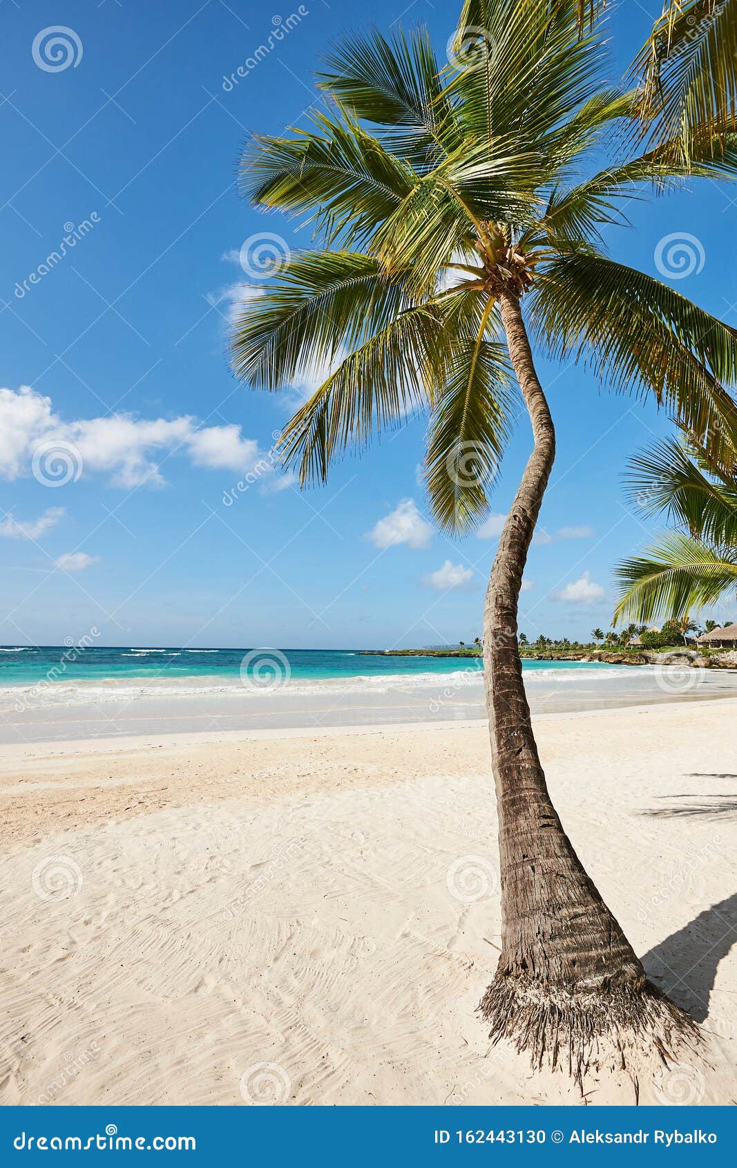 Palmstrand Op Het Tropische Eiland Idyllic Paradise - Caribisch Gebied ...