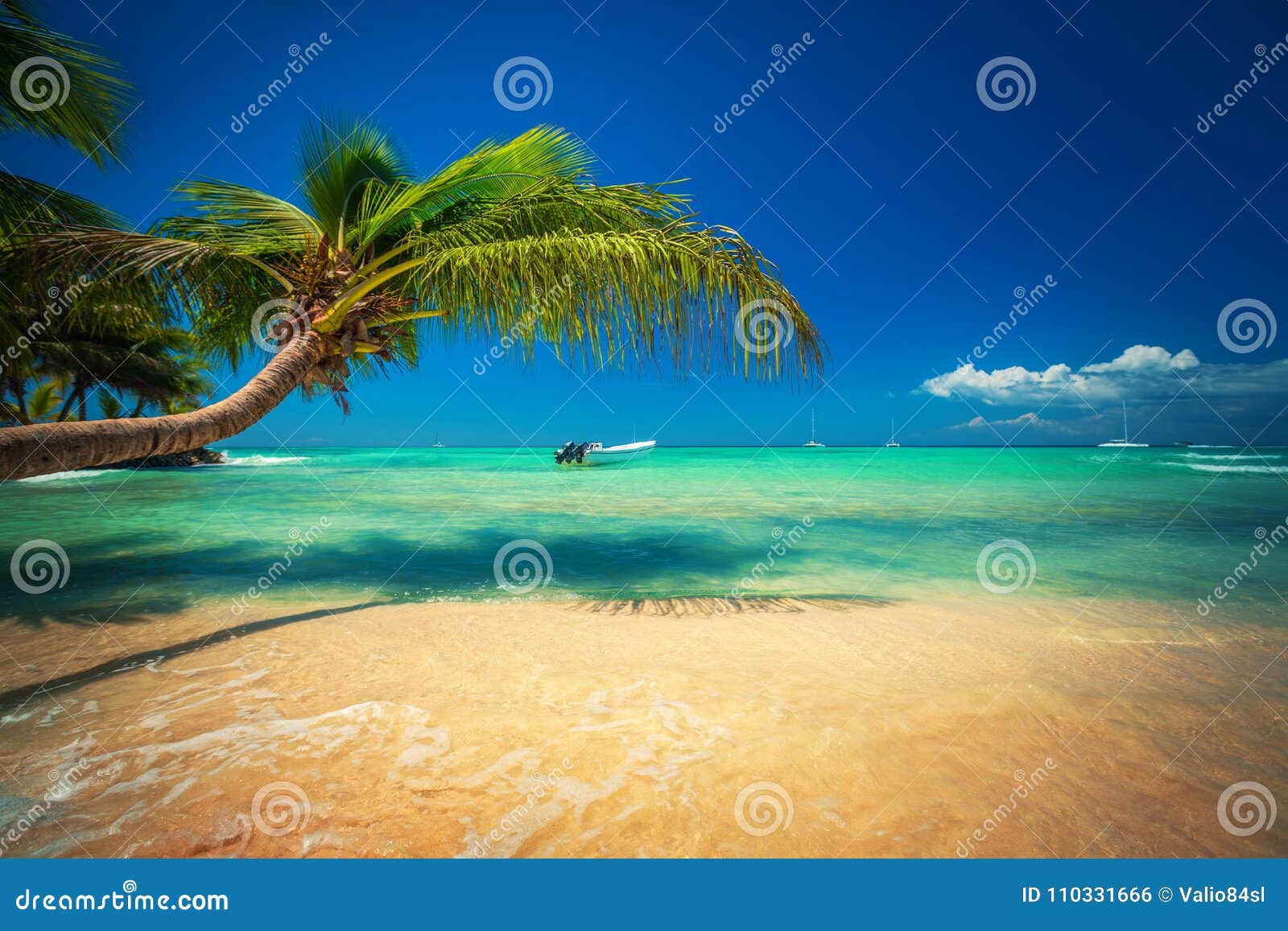 palmtree and tropical beach. exotic island saona in caribbean sea, dominican republic