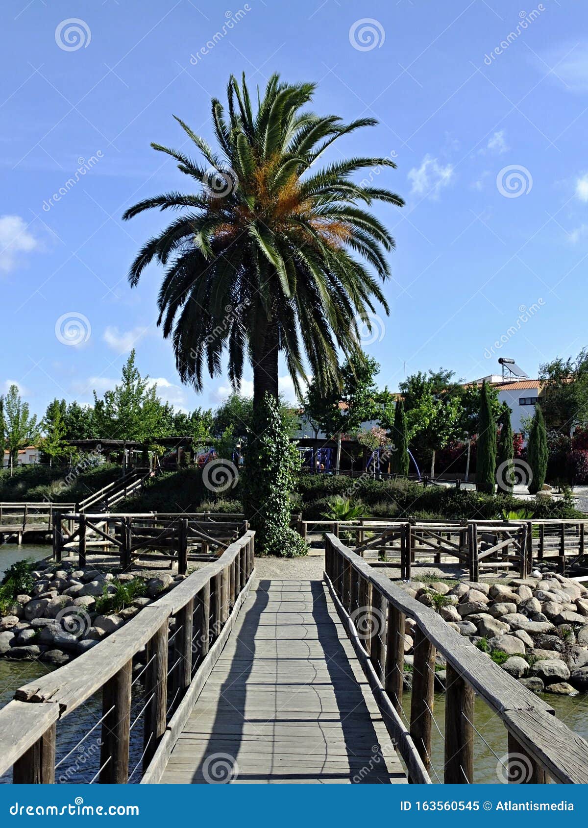 palmtree and wooden path at the la coronada fishing pond