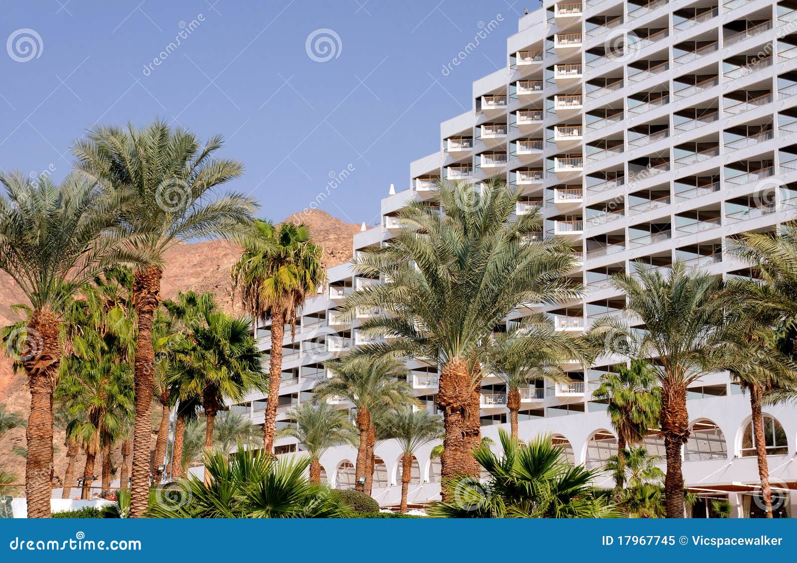 palmtrees and hotel