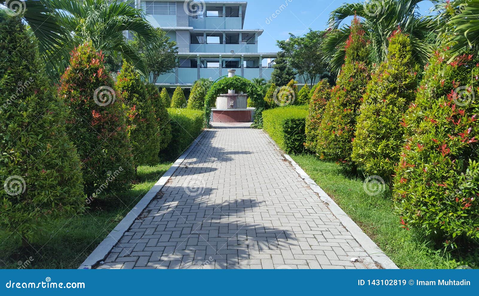 Palmtrees In Park Hospital With Natural Plants That Give The