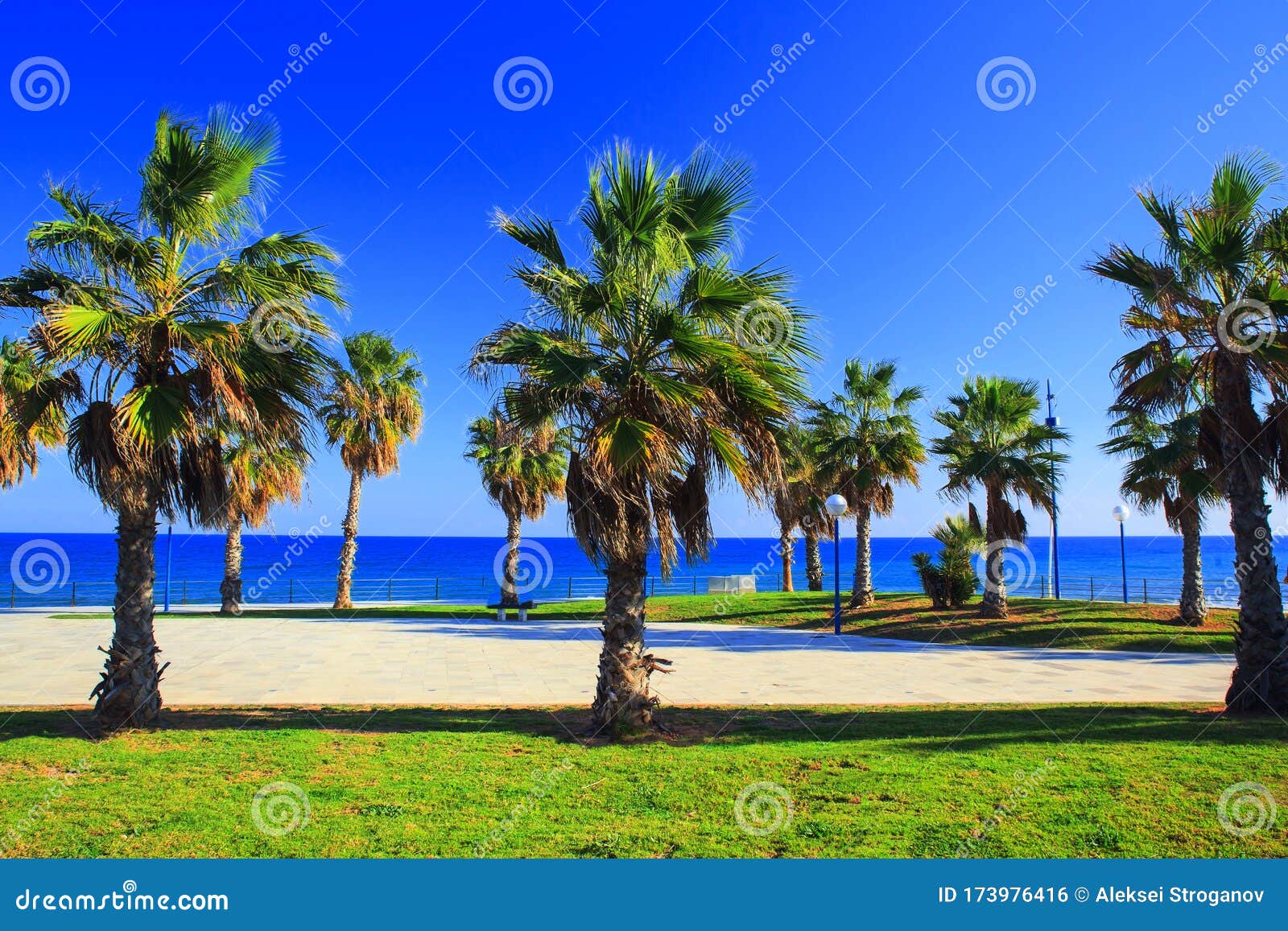 palmtrees on the sea shore in spain on the costa blanca, alicante