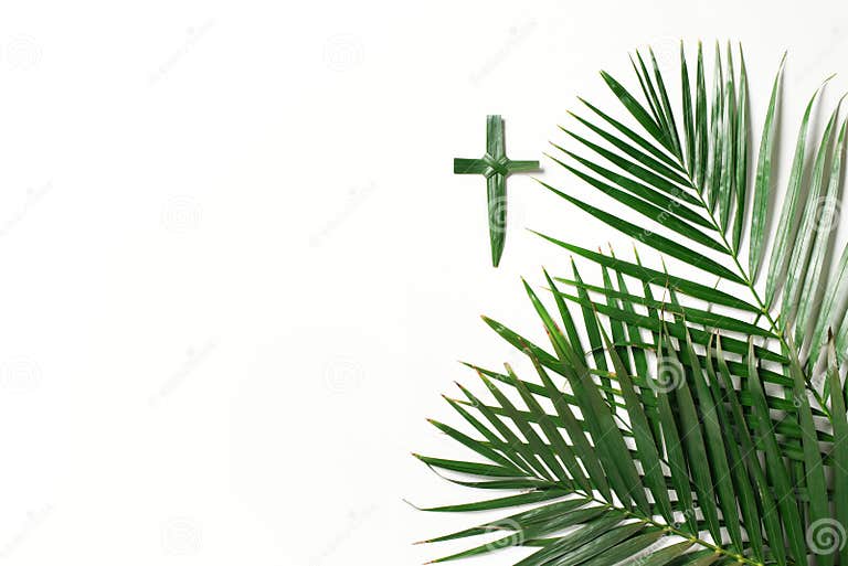 Palmzondag. Kruis Gemaakt Van Palm En Tropische Bladeren, Geïsoleerd