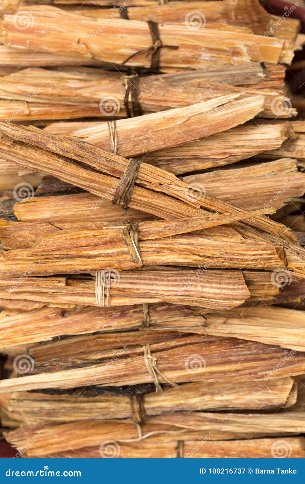 palo santo closeup