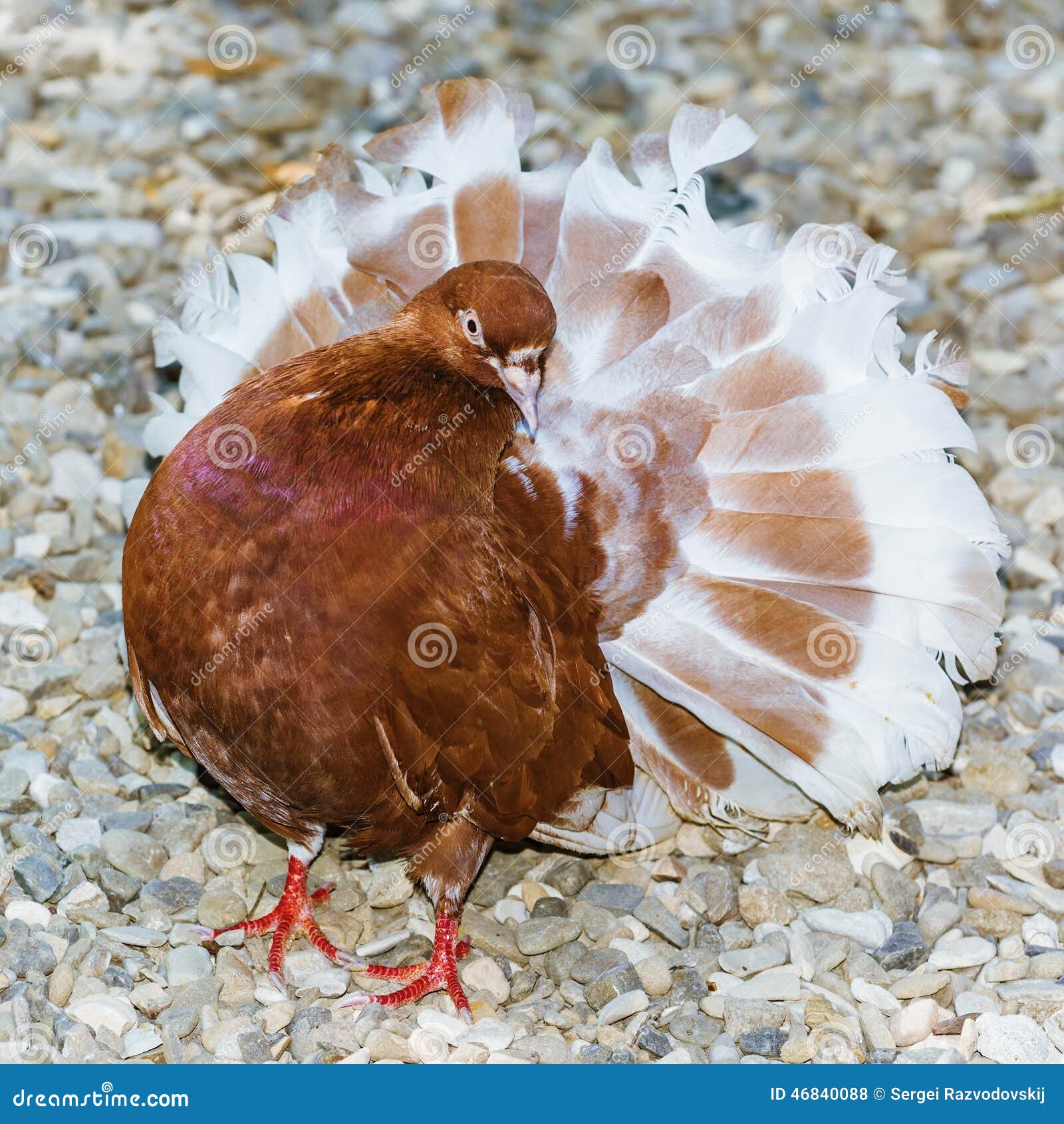 ↞ ᴾᴵᴸᴵ ↠ (@pilarmadrigalyoga) | TikTok, image size:1600x1690