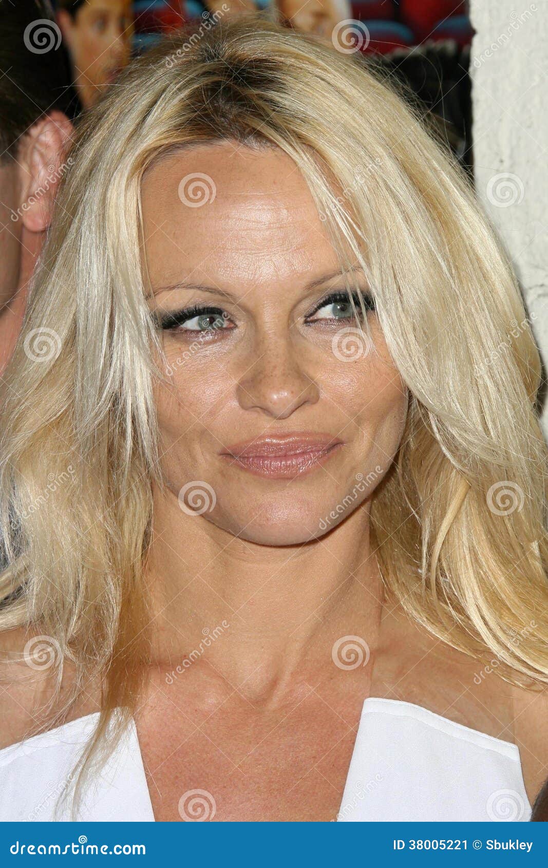 Superhero Movie (Extended Edition) : Pamela Anderson