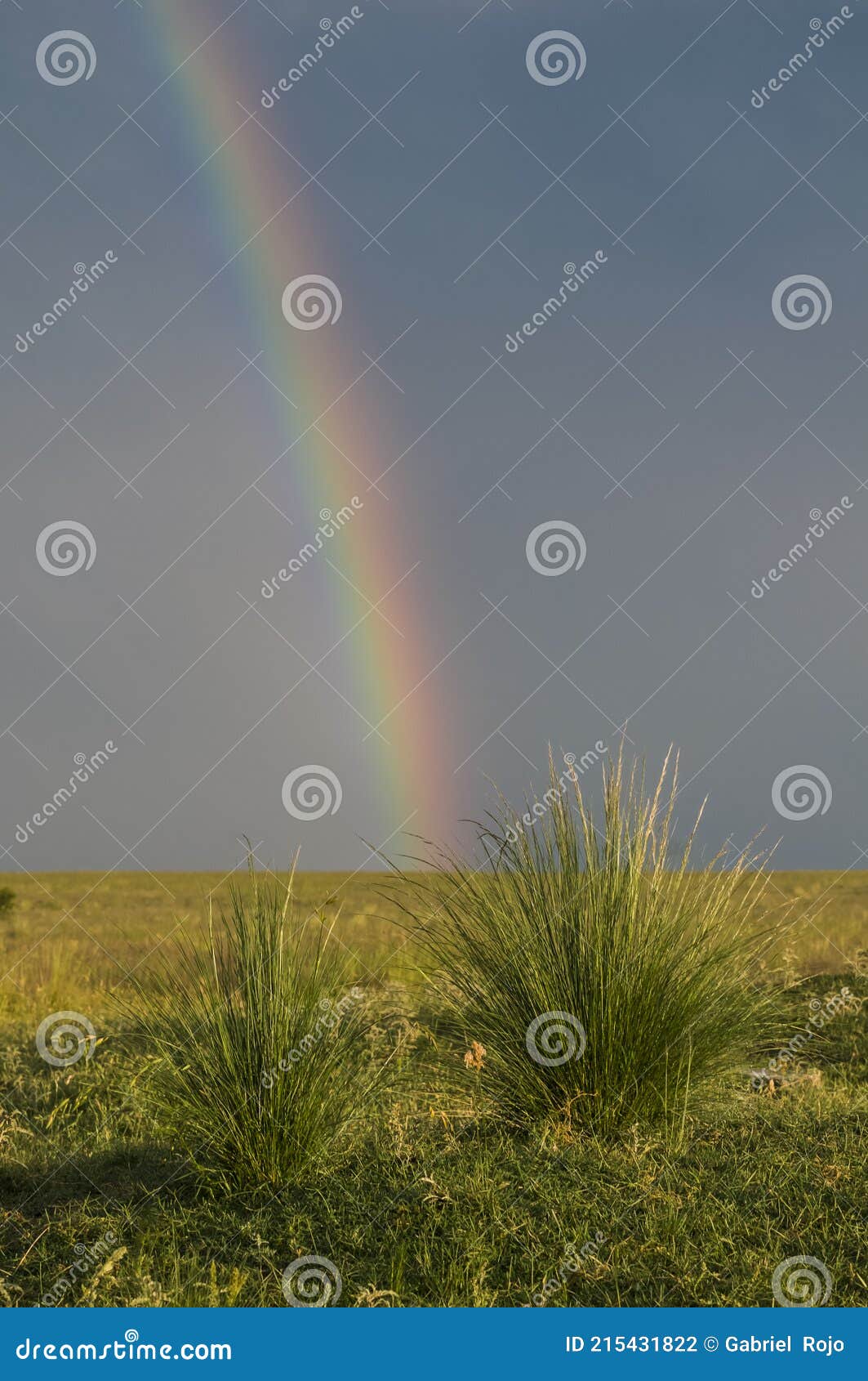 Pampas Rainbow Landscape, Argentina Stock Photo Image of grass
