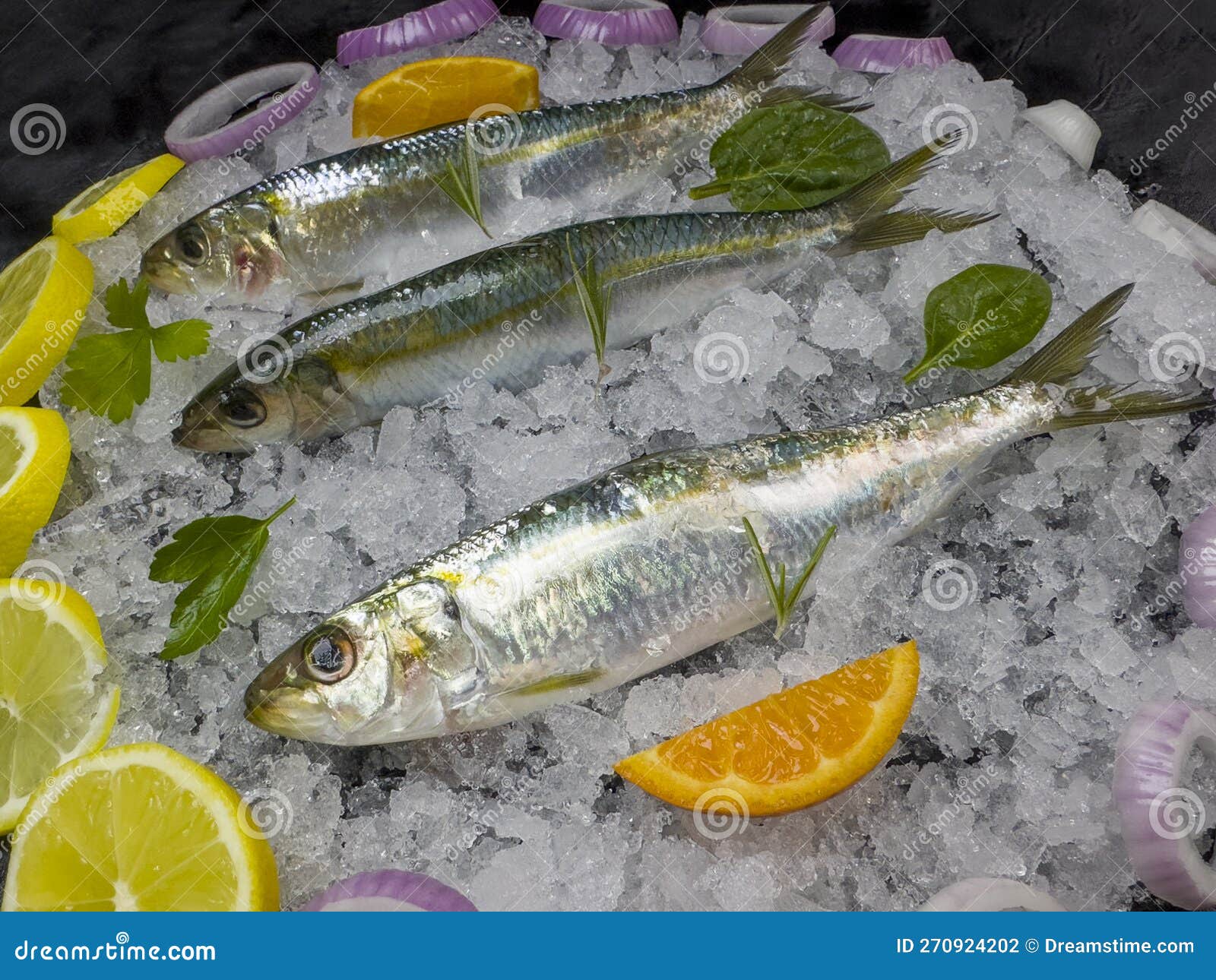 The Pan Cooking Method is the Most Common.Horse Mackerel is a Species with Thin Teeth, Large