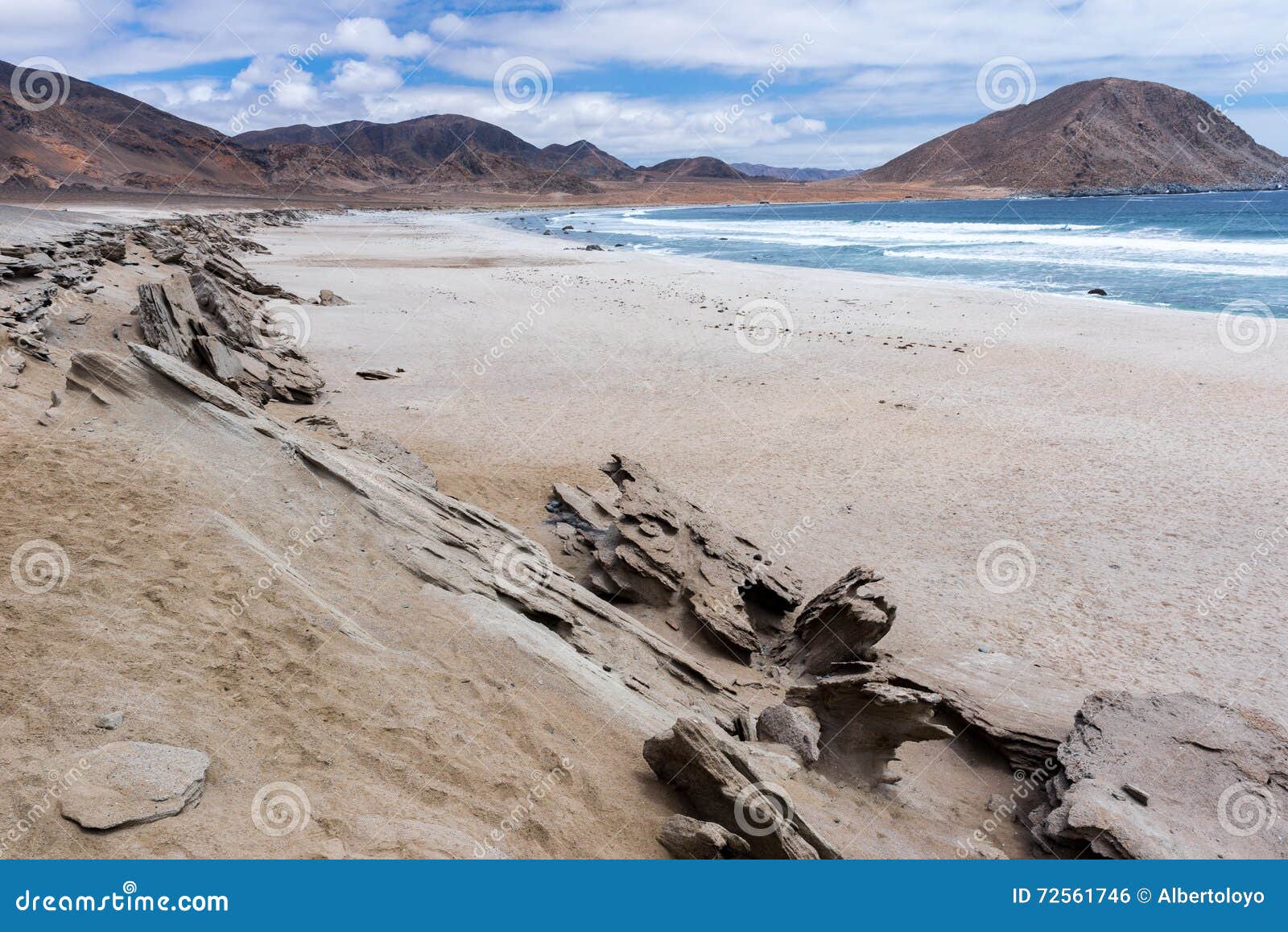 pan de azucar national park, chile