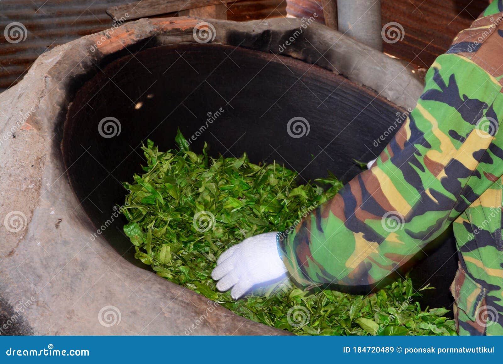 Pan Fired Tea,roasting in a Pan ,tea Leaves are Roasted Early in