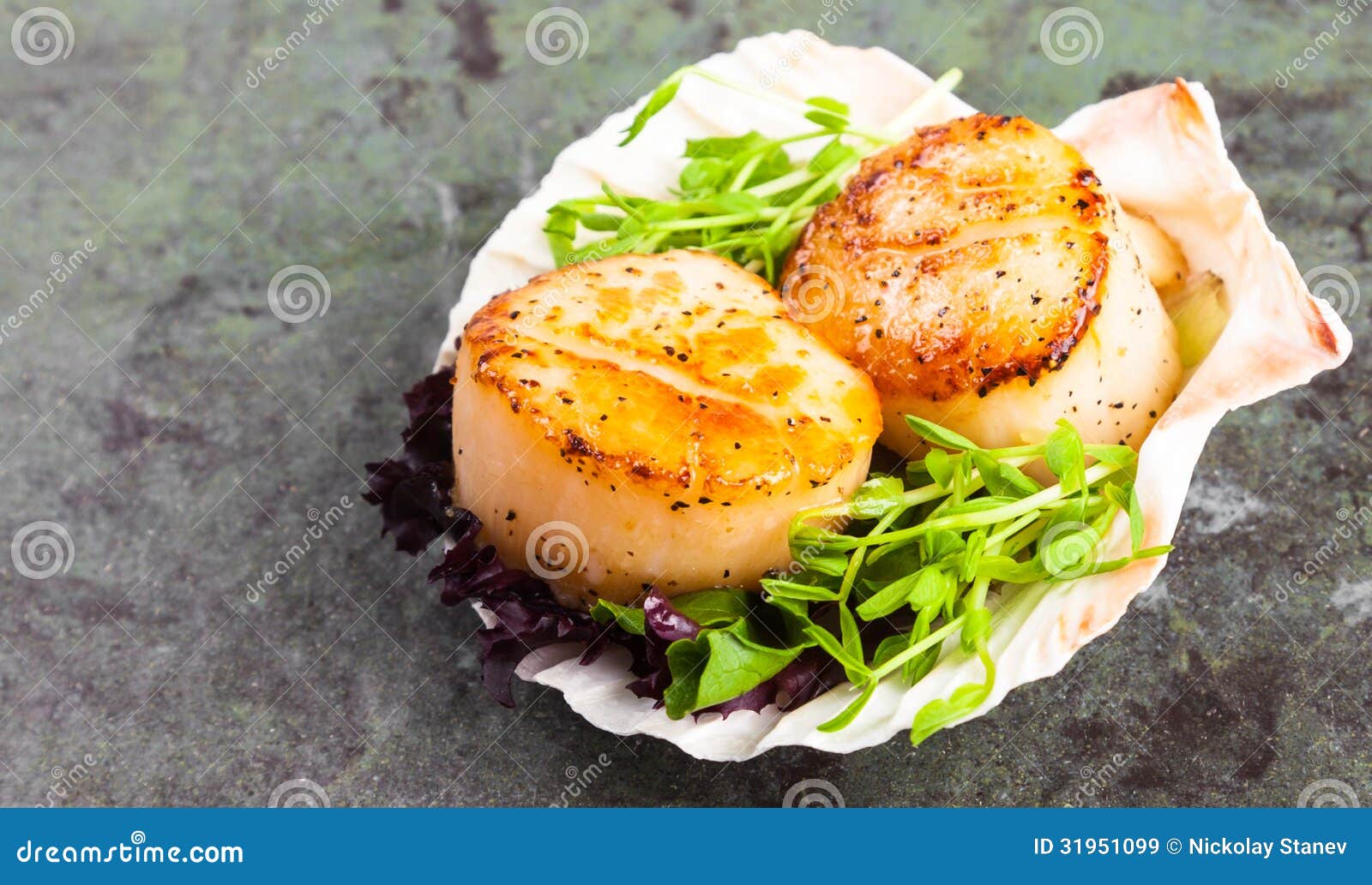 Pan Seared Scallops Em Uma Metade Shell Imagem de Stock Imagem de