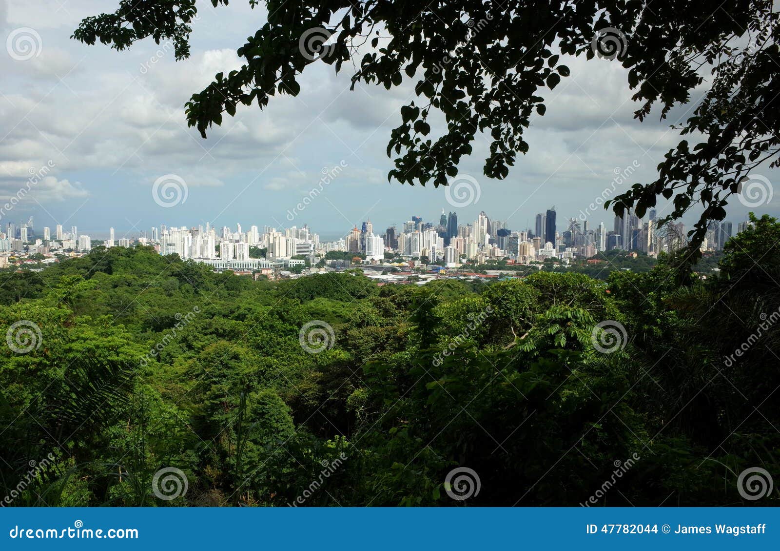 panama city from parque natural metropolitano