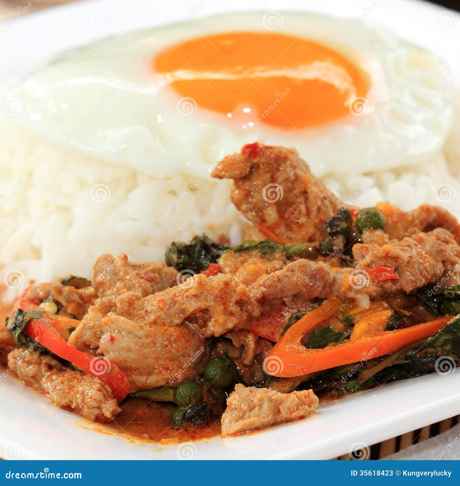 Panang Beef Thai Red Curry and Steam Rice Stock Image Image of milk