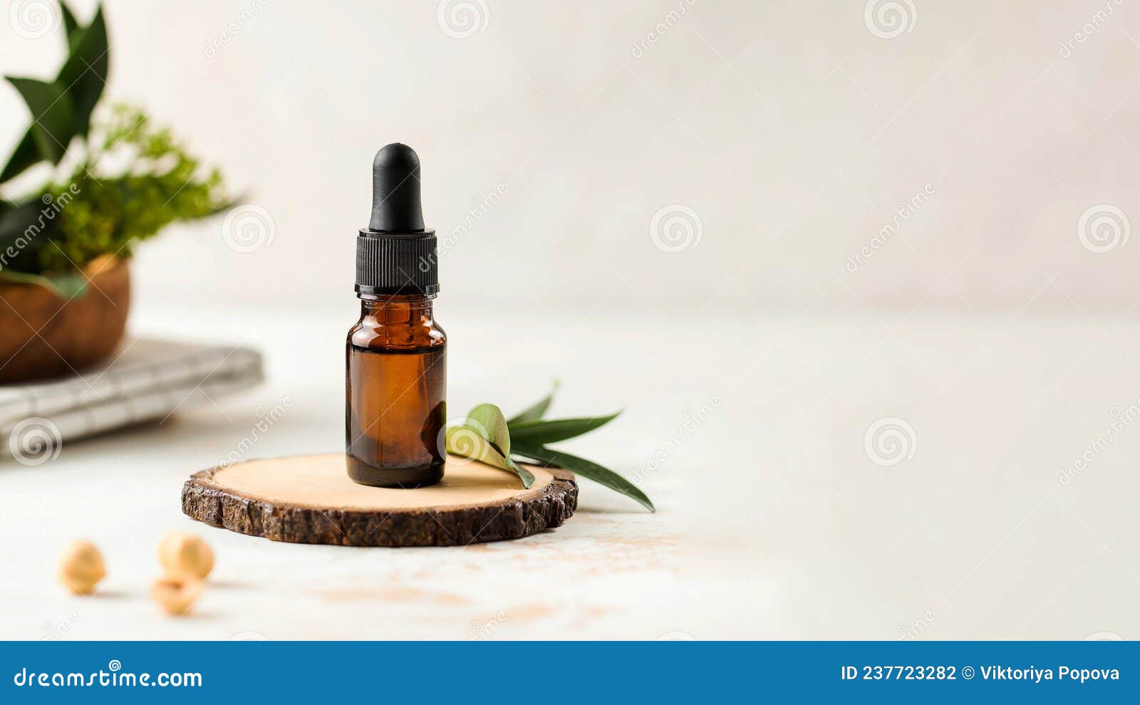 Pancarta De Maquillaje Con Suero Para El Cuidado Facial De La Piel Con Plantas En El Fondo. Espacio De Copia. Foto de archivo - Imagen de tratamiento, copia: 237723282 Pancarta De Maquillaje Con Suero Para El Cuidado Facial De La Piel Con Plantas En El Fondo. Espacio De Copia. Foto de archivo - Imagen de tratamiento, copia: 237723282