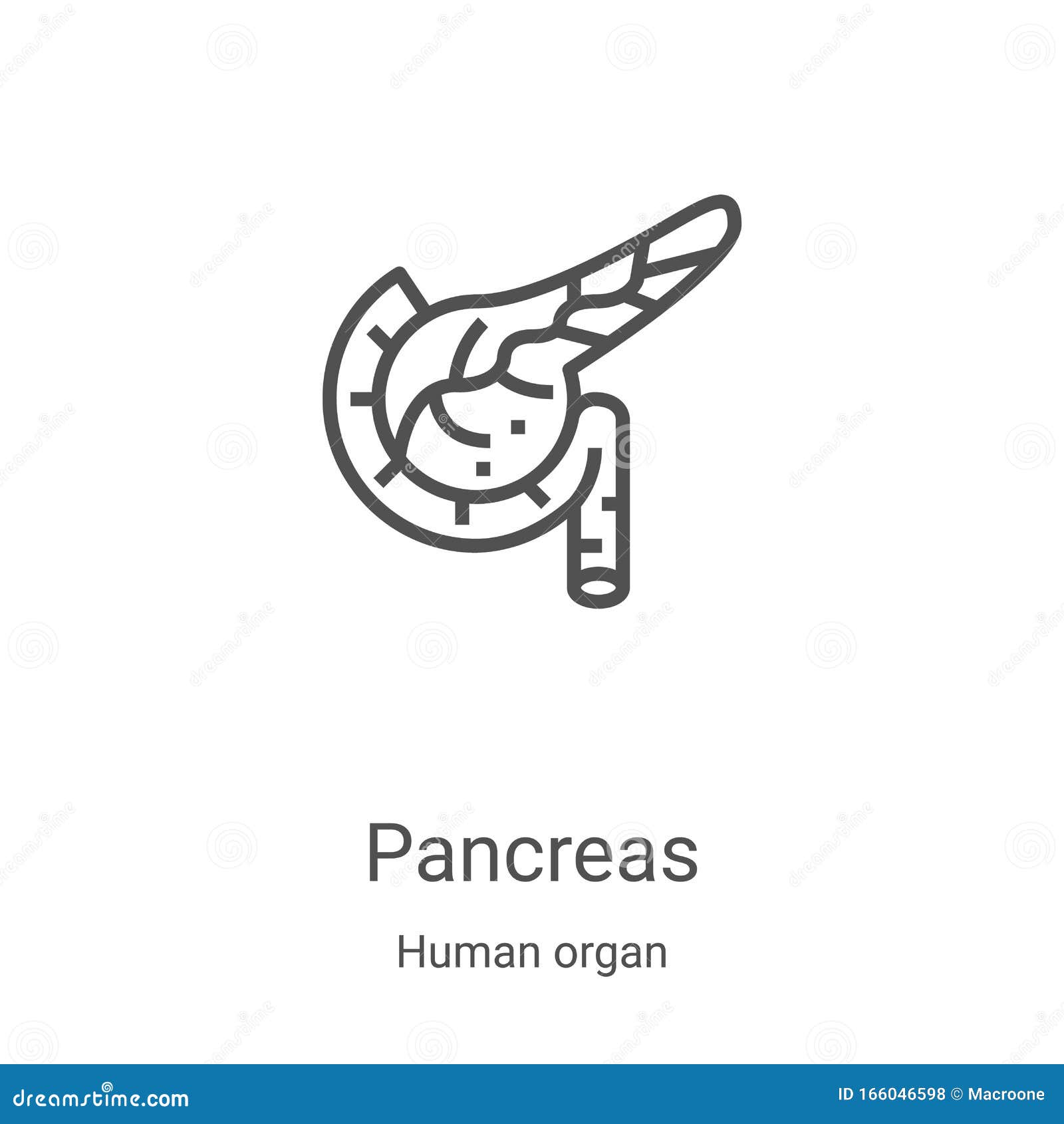 pancreas icon  from human organ collection. thin line pancreas outline icon  . linear  for use on