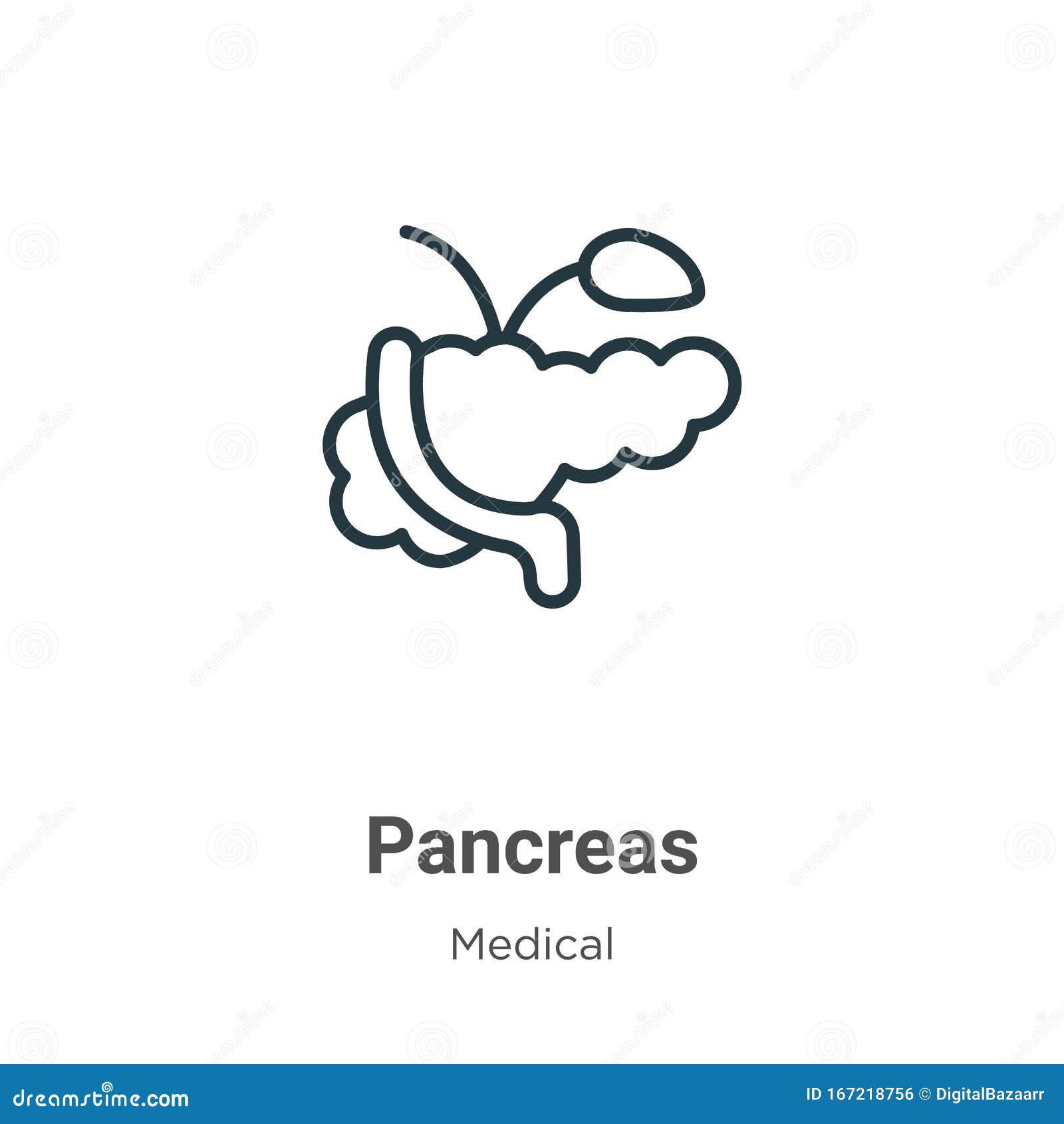 pancreas outline  icon. thin line black pancreas icon, flat  simple   from editable medical concept