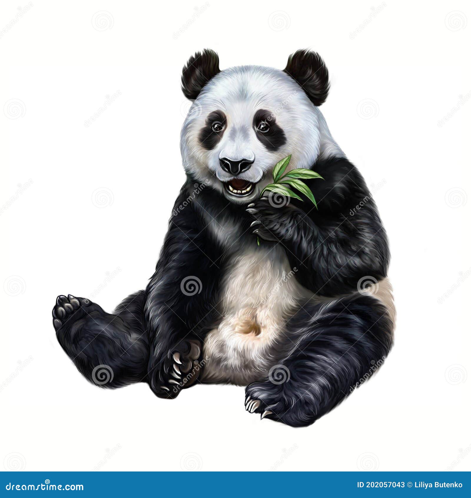 realista grande panda sentado e comendo bambu isolado ilustração 25850852  Vetor no Vecteezy