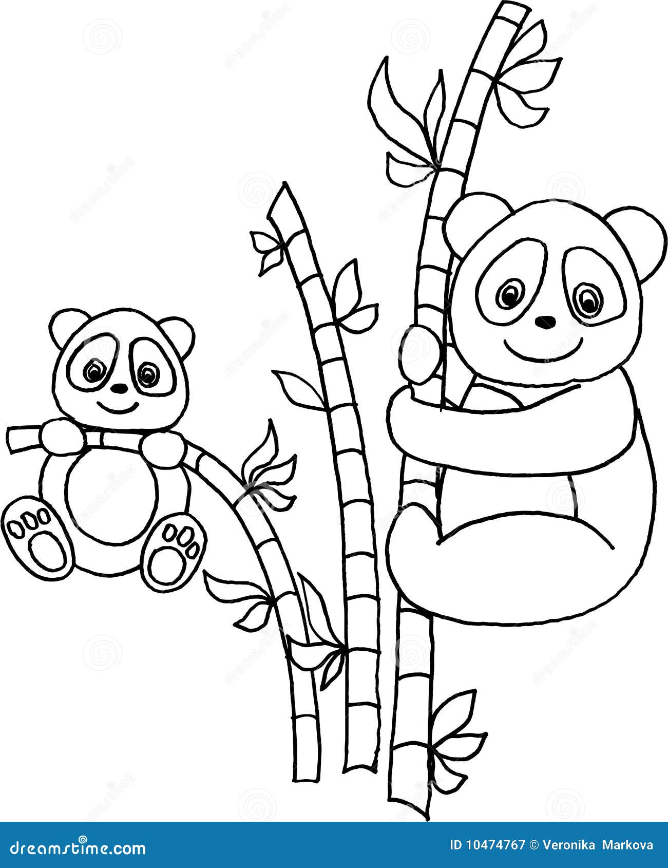 panda with bamboo stock vector illustration of panda